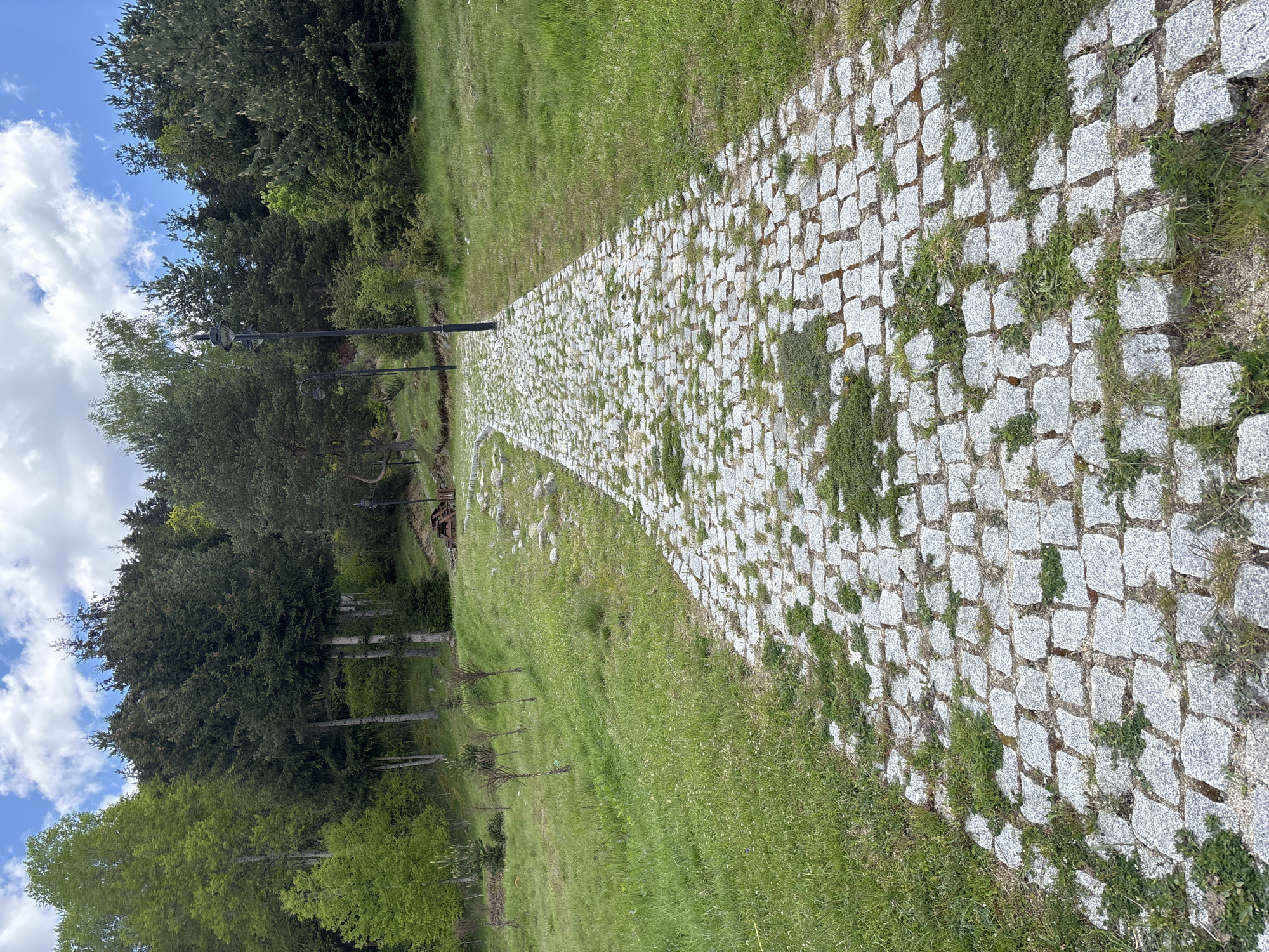 The image depicts a stone-paved pathway in what appears to be a park or green space in Dospat, Bulgaria. The path is constructed of gray, roughly square stones, with patches of grass and weeds growing between the stones. The path appears to be on a slight slope, leading away from the camera's perspective. A black lamppost is visible on the left side of the path, extending upward from the grassy area. Lush green grass borders the path on both sides. Trees are visible on the left side of the frame, with blue sky and clouds visible above the treeline. A wooden structure is visible in the background behind the treeline.