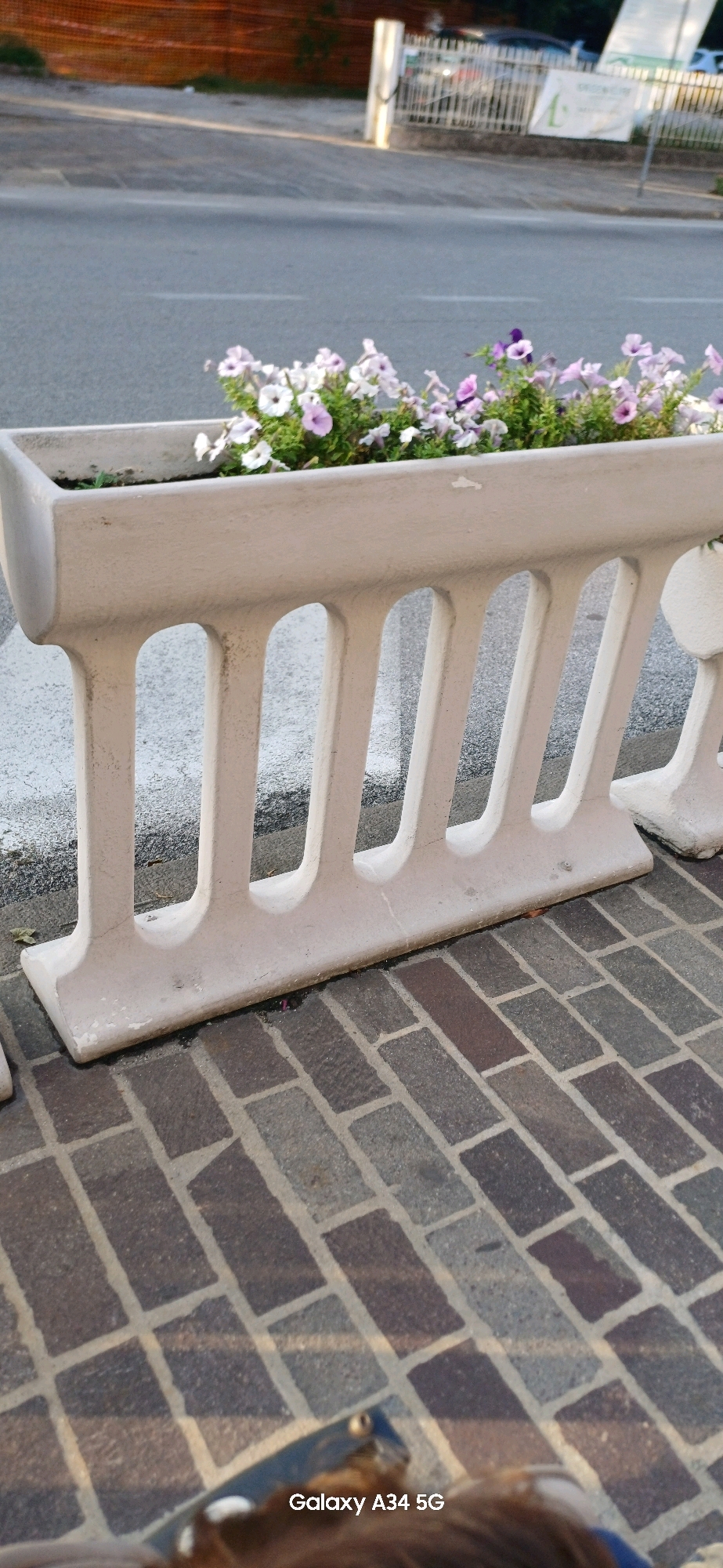 A low-angle, close-up shot of a concrete planter filled with white and purple petunias sits on a brick-paved sidewalk in Abano Terme, Italy. The planter has a decorative, arched railing. Behind the planter, a paved road with a white line is visible, and beyond that, a fenced area with trees and a banner. The bottom right corner of the image shows a watermark reading "Galaxy A34 5G." The scene appears to be outdoors during daylight.