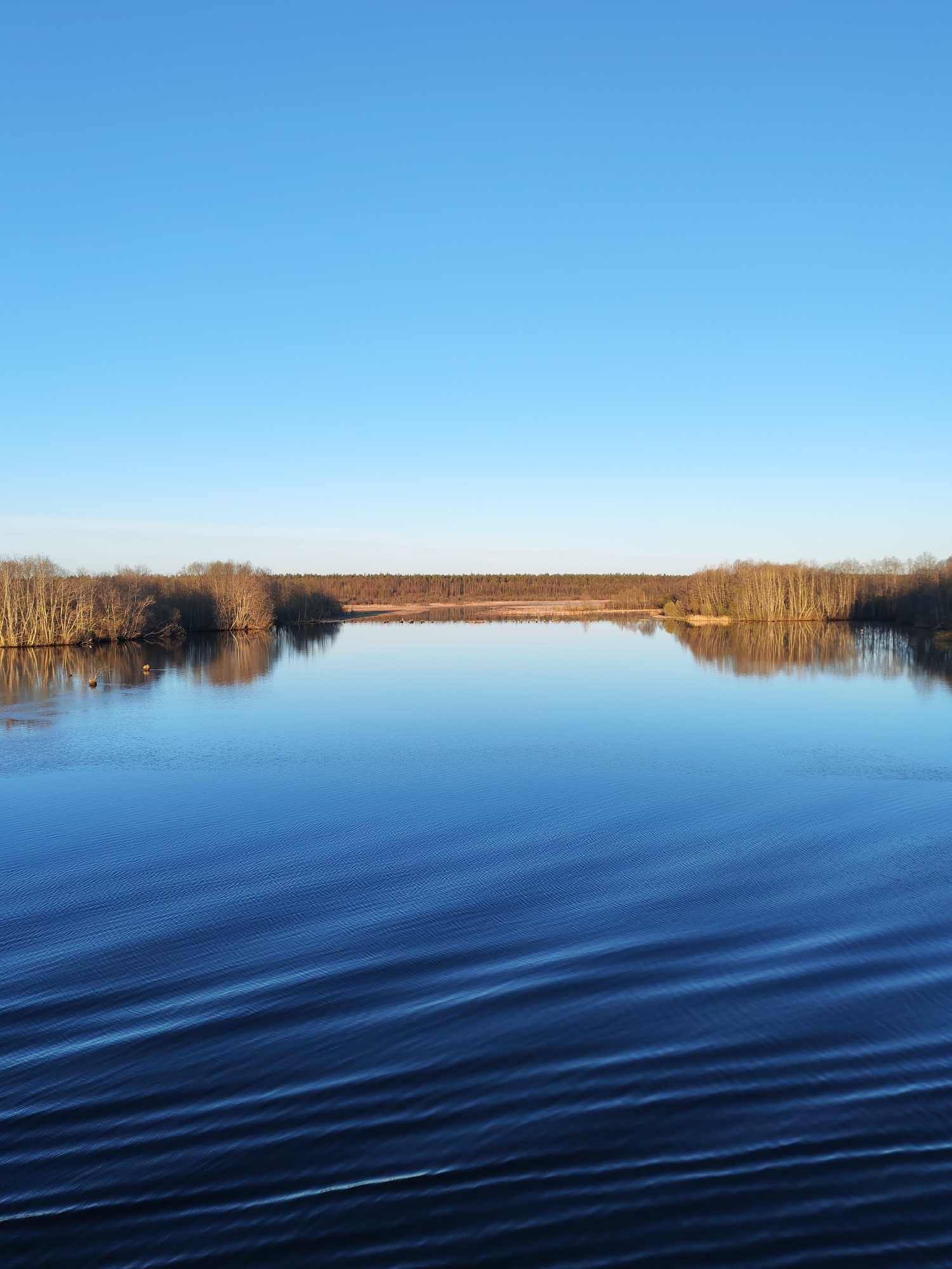 The image depicts a tranquil body of water, possibly a lake or wide river, under a clear blue sky. The water is deep blue and shows ripples across the surface, suggesting a light breeze.
The shoreline is lined with trees, mostly bare of leaves, indicating it is likely late fall or early spring. A stretch of low-lying vegetation or wetland area extends behind the treeline in the distance. The scene overall conveys a sense of calm and stillness.
The image is not geolocated; however, the user prompt suggests a location in Kurdiug, Russia. Assuming this is accurate, the image might depict a landscape typical of the region, characterized by lakes, rivers, and boreal forests.