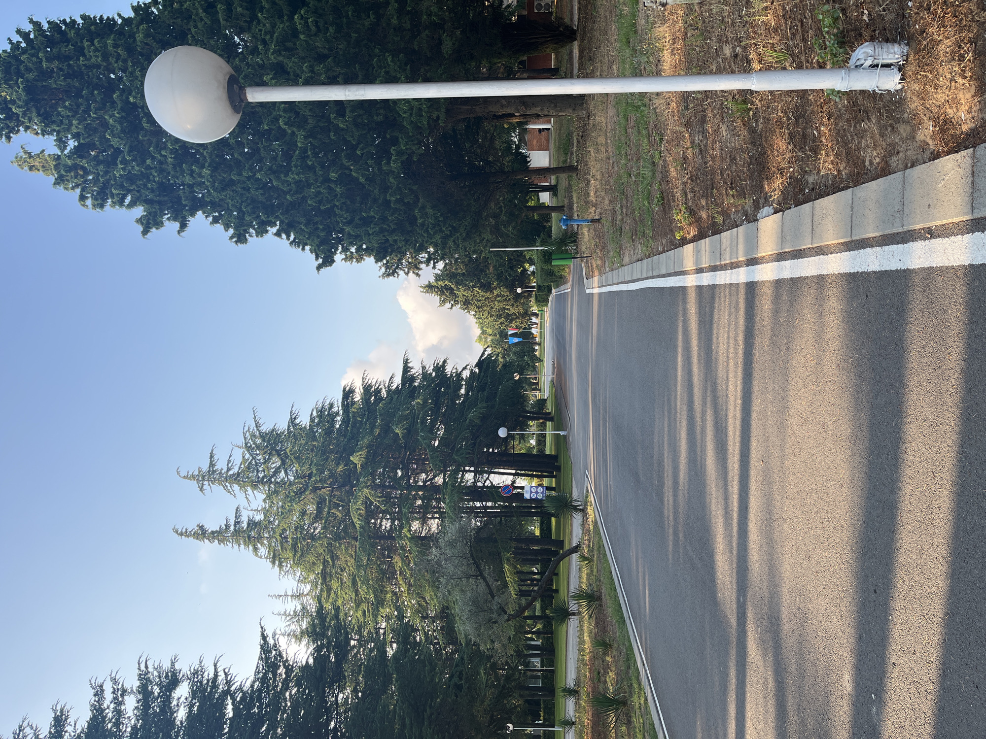 The image depicts a paved road lined with trees and a lamppost in what appears to be a park or an institutional campus. The road curves slightly to the left, with a white line marking its edge. Tall, slender cypress-like trees form a dense canopy on both sides of the road, casting long shadows across the asphalt. A white, globe-shaped lamppost stands prominently on the right side of the road. In the distance, the road continues, bordered by more greenery and some buildings. The sky is clear and blue with a few wispy clouds. The scene is tranquil and well-maintained, suggesting a peaceful outdoor environment. It is unclear if this scene is located in Nesebar, Bulgaria, as there are no identifying markers in the image.