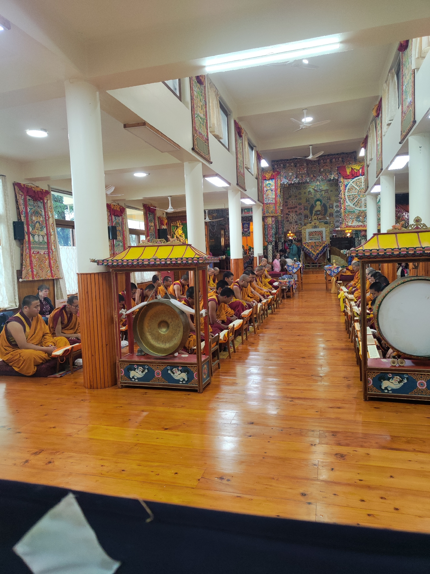 This image captures the interior of a vibrant Tibetan Buddhist temple or monastery, likely in Dharamshala, India, during a communal gathering. Numerous monks, dressed in traditional orange and maroon robes, are seated on cushions in two long rows on a polished wooden floor, facing towards a central altar at the far end of the hall. Many are seen holding or reading texts, suggesting a prayer, chanting, or study session.
In the foreground, on either side of the monk rows, are large traditional instruments housed in ornate wooden stands with yellow, pagoda-like roofs. On the left, a large brass gong is visible, while on the right, a large white drum is housed in a similar stand. Both stands are decorated with intricate patterns and what appear to be mythical creatures, possibly snow lions.
The walls are adorned with colorful thangkas (Tibetan Buddhist scroll paintings) depicting deities, mandalas, and religious scenes. At the far end of the hall, a prominent altar features a large, golden Buddha statue as its centerpiece, surrounded by intricate carvings, offerings, and decorative fabrics. A Dharma wheel symbol is visible on the right wall near the altar.
The room is brightly lit by overhead fluorescent lights, recessed fixtures, and natural light streaming through windows on the side. Several white ceiling fans are also visible. A few individuals, likely lay practitioners or visitors, can be seen in the background near the altar and along the left side. The scene conveys a strong sense of spiritual devotion and cultural richness, indicative of a daytime event. No clearly legible text is visible on the thangkas or other objects.
