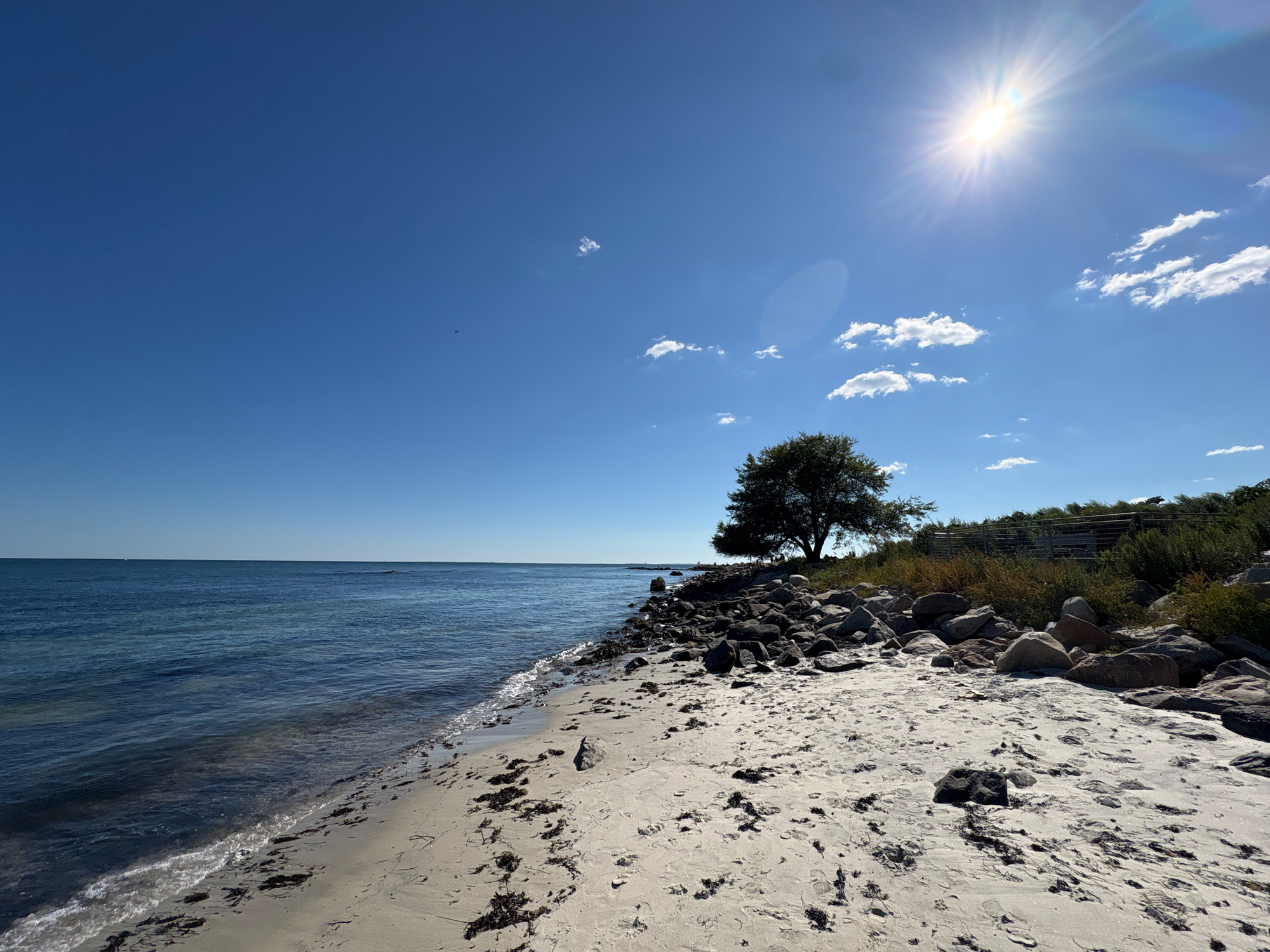 This is a full-shot, eye-level, wide-angle photograph of a sandy beach on a clear, sunny day. The foreground is dominated by a light-colored sandy beach with scattered pieces of seaweed. The middle ground features a rocky shoreline with a lone tree standing tall to the right of the frame, its branches spread wide. Beyond the rocks and tree, a gentle slope of green vegetation and a wooden fence can be seen. The ocean stretches out into the background, its waters a deep blue with gentle waves lapping at the shore. The sky above is a clear, vibrant blue with a few small, white clouds scattered across it. A bright sun shines down from the upper right corner of the image, casting a lens flare and highlighting the scene. The photograph was taken in Waterford, United States of America.
