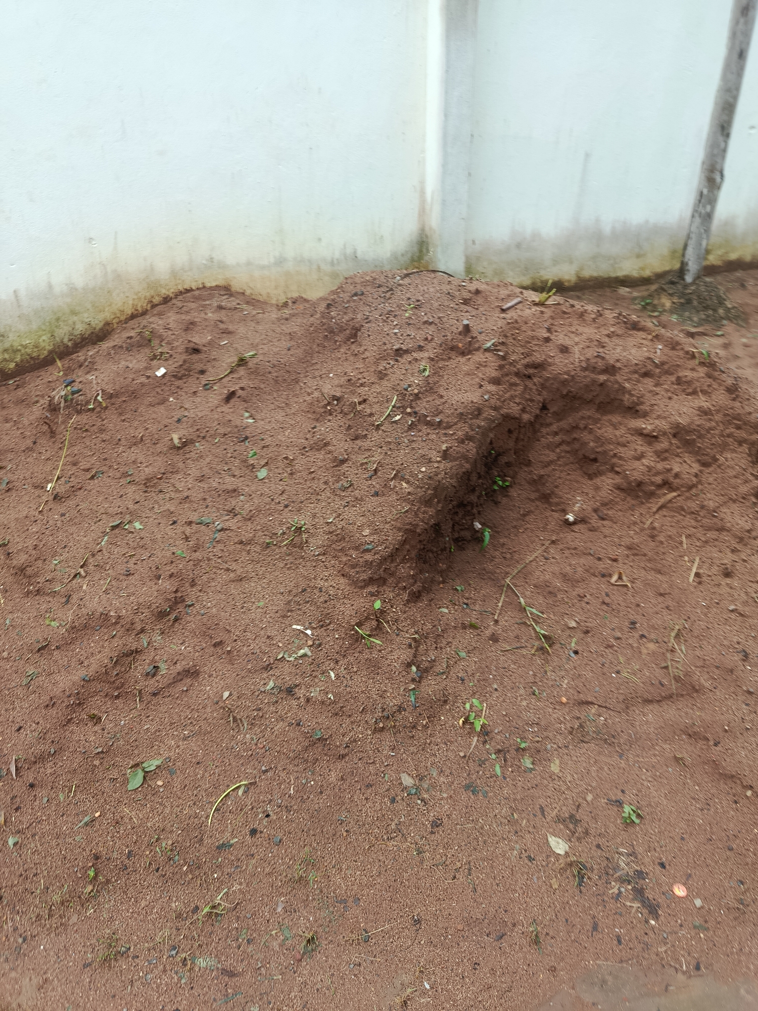 A pile of red soil is situated in front of a light-colored, textured wall. The soil pile is uneven, with a noticeable indentation or hollow on the right side. Scattered across the soil are small green plant shoots, dry leaves, and small stones. A vertical wooden pole is visible to the right of the soil pile, leaning against the wall. The ground around the soil pile appears to be dirt. The scene is likely an outdoor area in Ukpor, Nigeria, possibly a construction site or a garden.