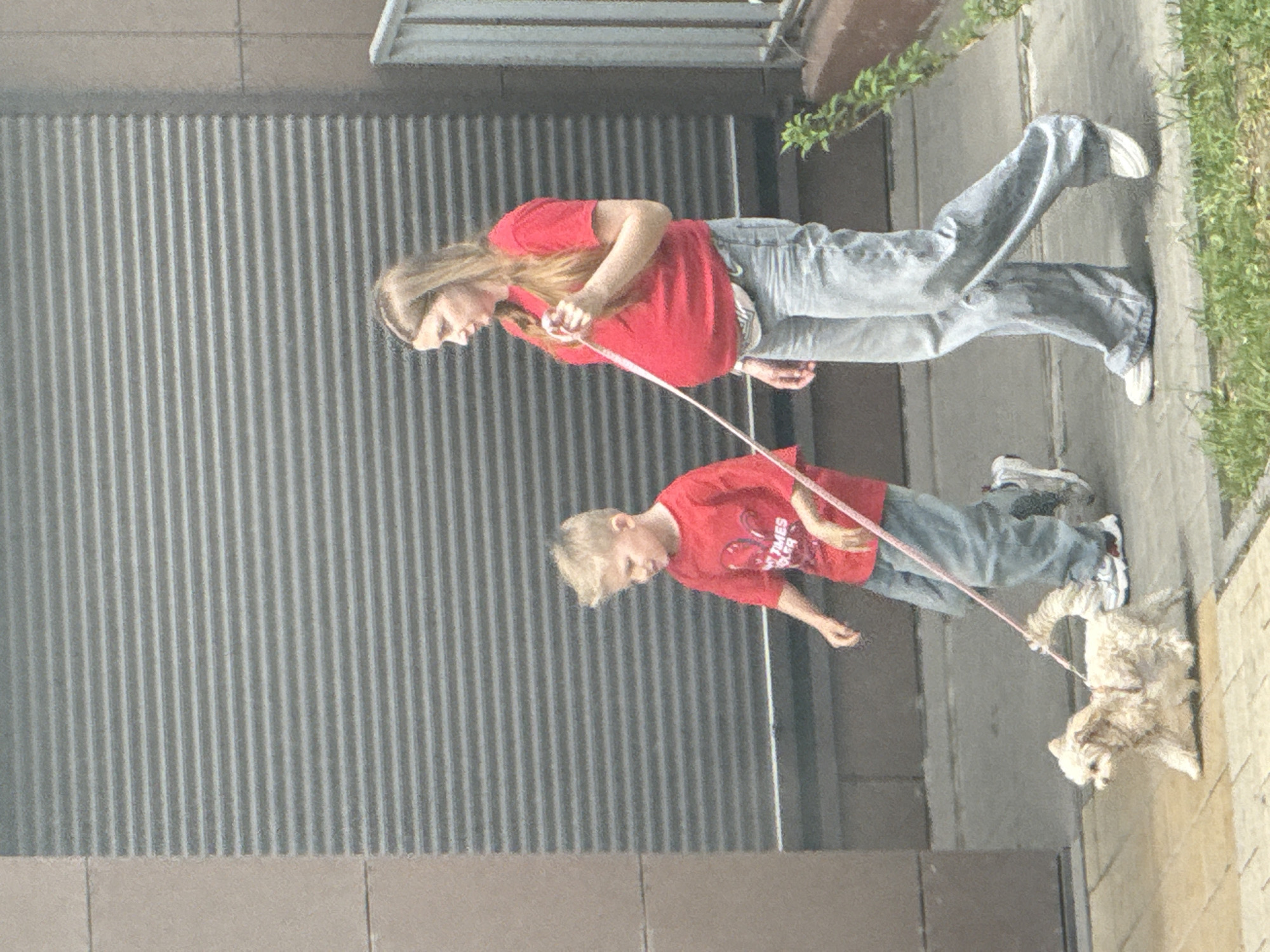 A young woman and a child are walking a dog on a leash in an urban setting. The woman is wearing a red shirt and jeans and the child is wearing a red shirt and jeans. The dog is small and furry. The background consists of a gray building facade and a sidewalk with grass.