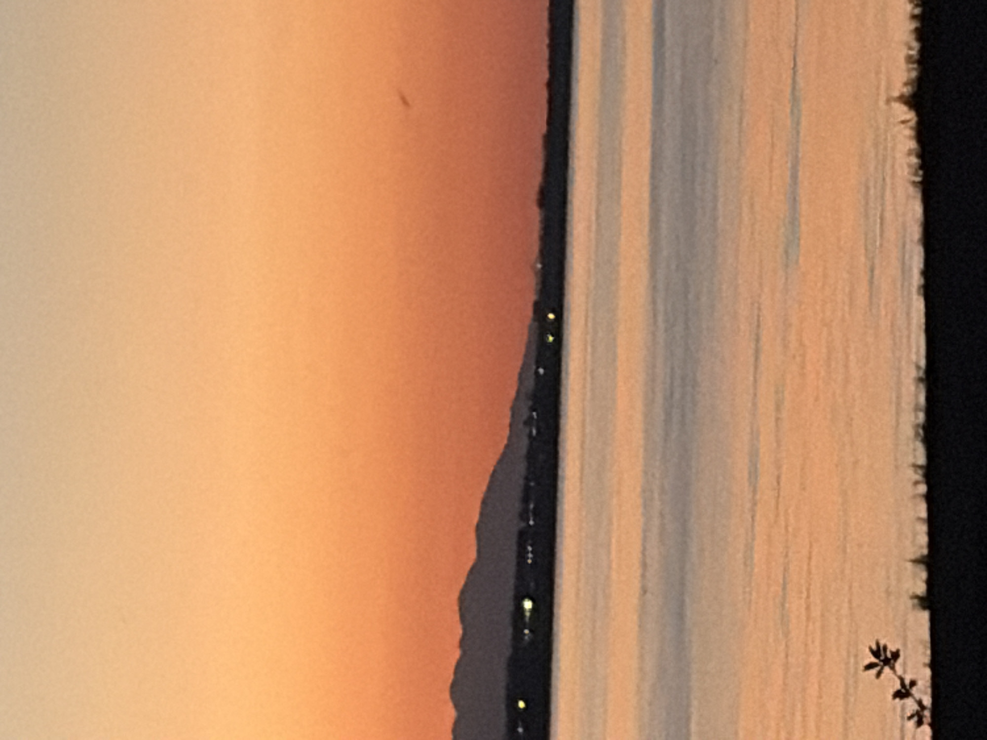 This is a landscape photograph taken at dusk. The image depicts a body of water in the foreground, with a silhouetted shoreline and a mountain range in the background. The sky is a gradient of warm colors, transitioning from orange and yellow near the horizon to a lighter hue at the top. There are a few distant lights visible along the shoreline. A small plant is silhouetted in the lower left corner of the image.