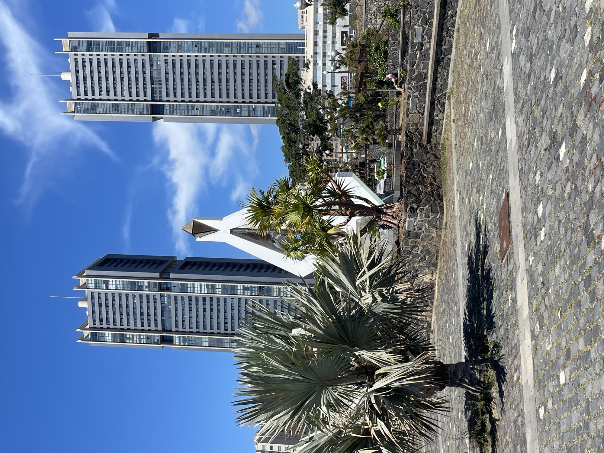 The image shows a partially obscured view of the Torres de Santa Cruz, modern high-rise buildings located in Santa Cruz de Tenerife, Spain. The buildings are tall, rectangular structures with multiple floors and a repetitive pattern of windows.
In the foreground are various trees, partially obscuring the view of the buildings and an unidentified white structure. The image is taken from a low angle, looking upwards towards the sky, which is blue with some wispy clouds. A paved area with dark stones is visible in the immediate foreground. A shadow from the tree falls across the stones. A stone border is shown behind the trees.