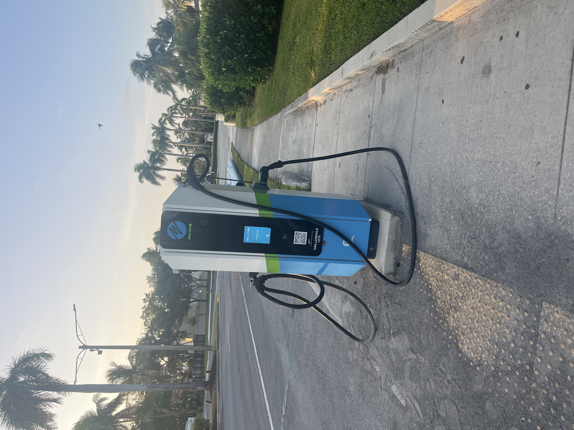 An outdoor electric vehicle charging station is situated on a sidewalk next to a street. The charging station is a tall, blue and white unit with a green stripe. Two black charging cables are connected to the unit. The street is paved and has white lane markings. To the right of the sidewalk is a well-maintained lawn and a row of green bushes. In the background, there are numerous palm trees and some buildings. The sky is clear with a few clouds, and the lighting suggests it is early morning or late afternoon. A bird is visible flying in the sky. The scene is clean and orderly.