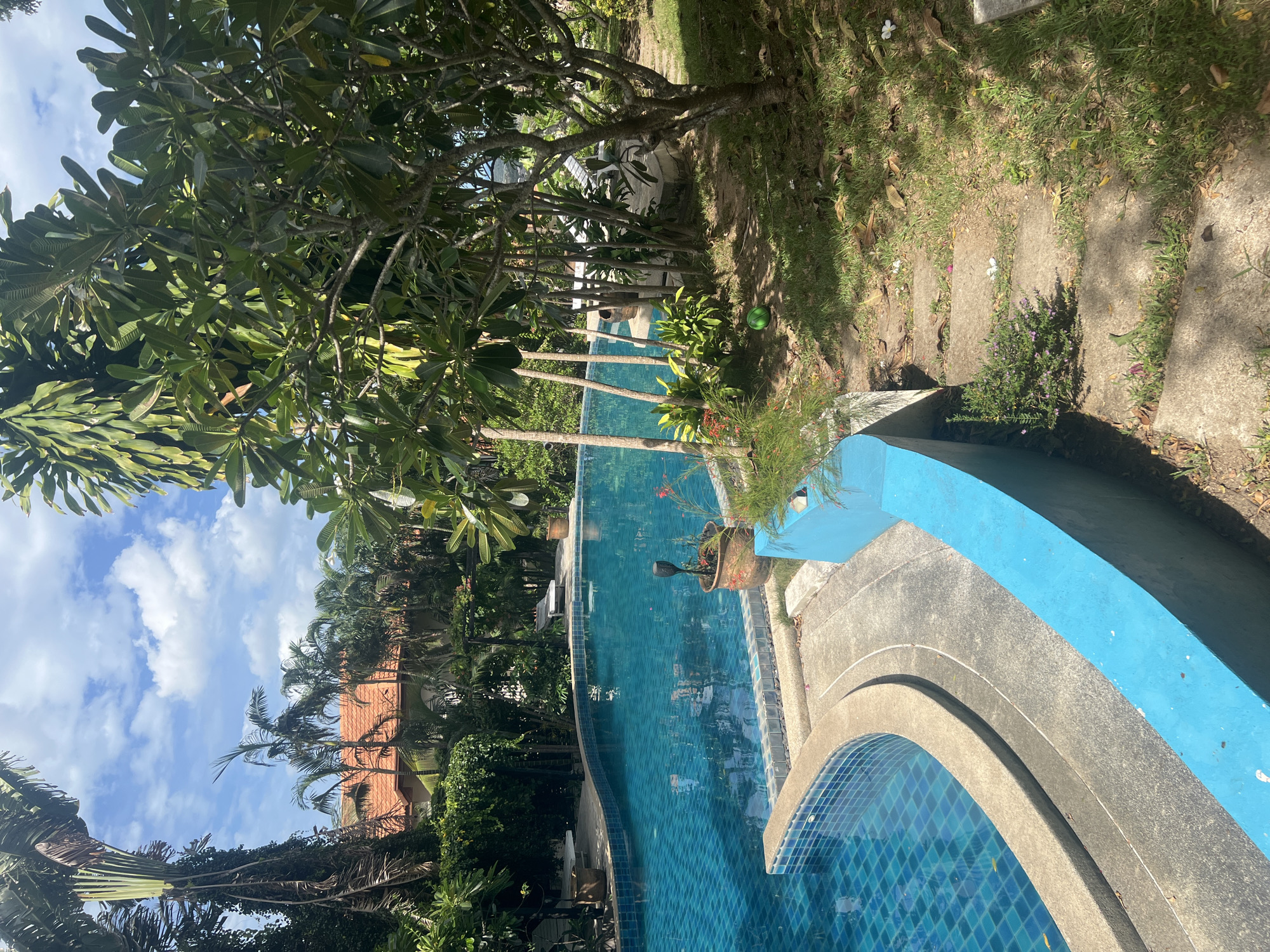 A resort swimming pool in Ko Samui District, Thailand, features a curved design with bright blue tiled water and a beige tiled edge. Steps made of concrete with some grass growing through them lead down into the pool. A bright blue painted wall borders the pool area. Lush green tropical vegetation, including palm trees and flowering plants, surrounds the pool, with a glimpse of red-tiled roofs from buildings in the background. The sky is blue with scattered white clouds. A white lounge chair is visible in the background, and a green ball lies on the grass near the pool.