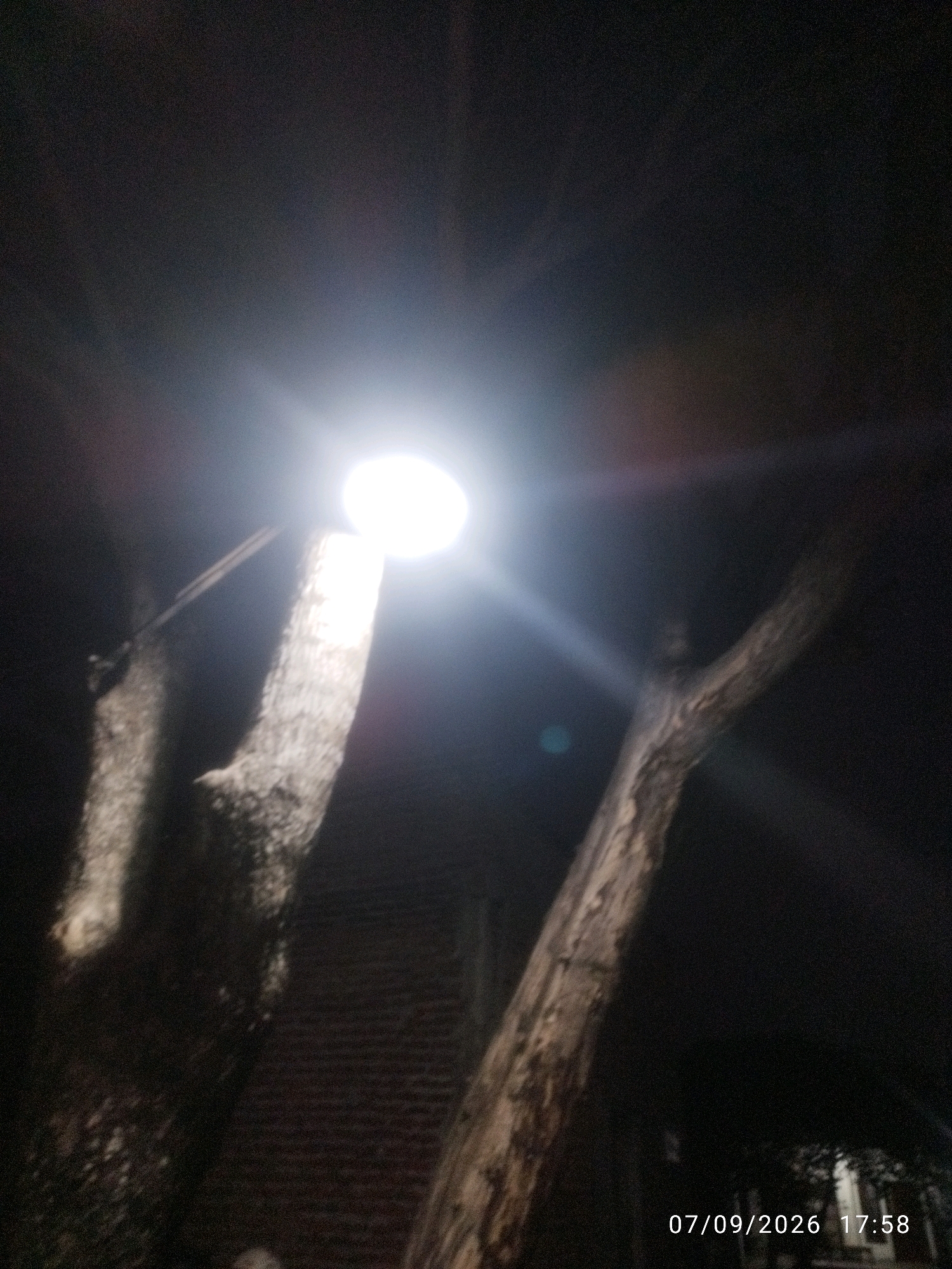 The image shows two tree trunks in the dark, illuminated by a bright light source positioned on top of the left trunk. The light creates a strong glare that obscures details in the background and part of the trees. A timestamp "07/09/2026 17:58" is visible in the lower right corner of the image. The background appears to be dark, with hints of a brick structure behind the trees. The overall scene is dark and appears to be outdoors, possibly at dusk or night.
