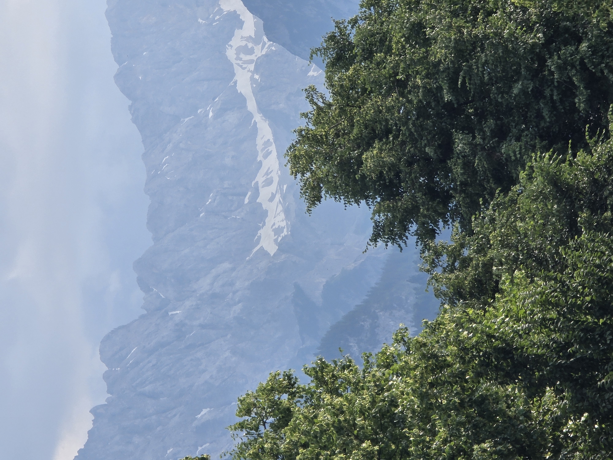 This media file shows a view of snow-capped mountains seen through lush green trees. The mountains are predominantly blue and grey, with streaks of white snow visible on their rocky surfaces. The trees in the foreground are a vibrant green, with dense foliage that partially obscures the mountain landscape. The image appears to be taken on a clear day, with patches of blue sky visible between the tree branches. The scene suggests an outdoor setting, likely in a mountainous region. The combination of snow-capped peaks and verdant trees suggests a location that experiences distinct seasons, possibly spring or early summer. There is no visible text in the image.