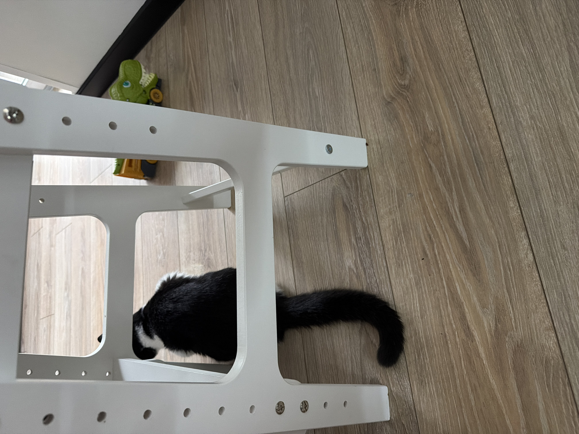 A black and white cat is partly hidden under a white chair. The chair appears to be indoors, situated on a wooden floor. A green toy vehicle is next to the chair. The location is unspecified and not identifiable from the image.