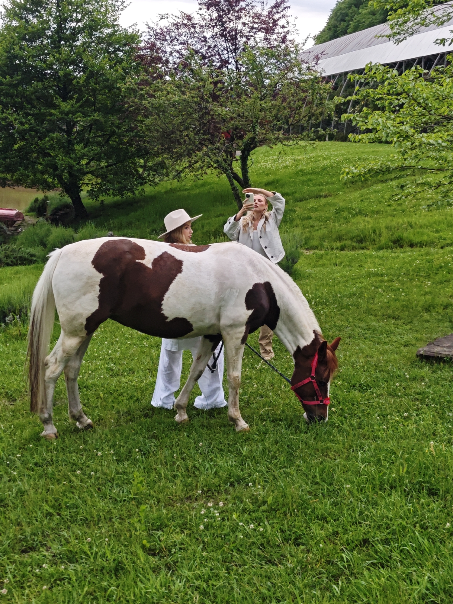 A wide shot captures a field scene in what could be Прогресс, Russia. A white and brown horse grazes in the foreground. A woman in a white hat and pants stands to the left of the horse, appearing to hold its reins. To the right, a second woman is holding up a phone, appearing to take a photograph. The field is green with small white flowers. Various trees are visible in the background, as is the edge of a white structure.