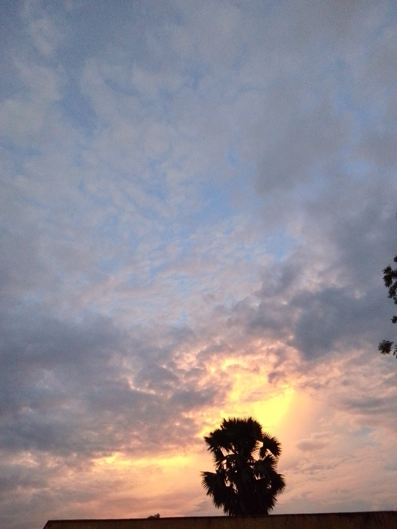 The image captures a silhouette of a palm tree against a dramatic sunset sky in Serti, Nigeria. The sky is filled with an array of clouds, ranging from deep grays to lighter blues and pinks, with a bright, golden light emanating from the setting sun. The palm tree, with its distinct fan-shaped leaves, stands out in dark silhouette in the lower center of the frame. A building structure, also silhouetted, is visible along the bottom edge of the image. The overall scene suggests a peaceful evening in Serti.