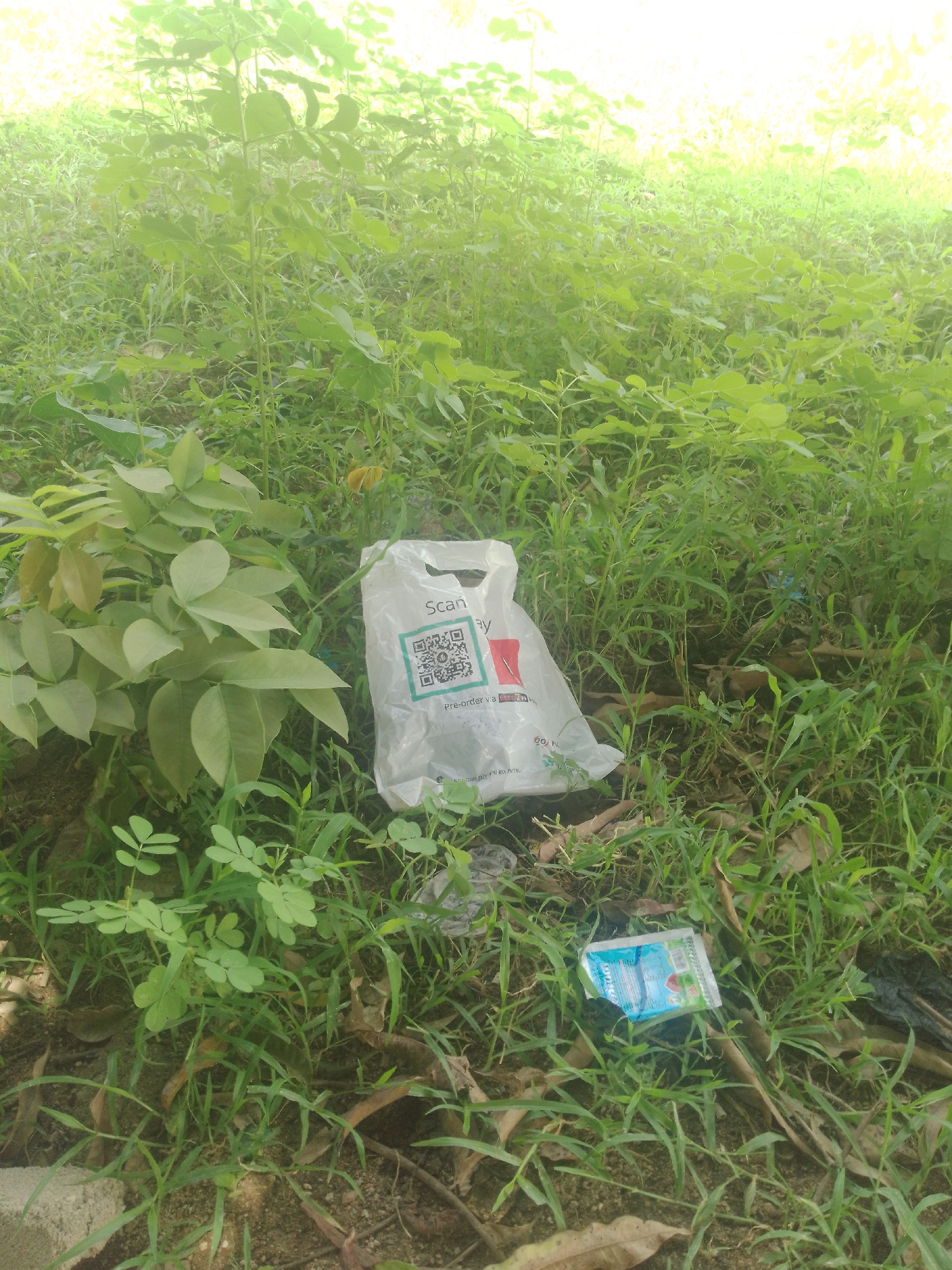 The image depicts a natural outdoor scene in Jalingo, Nigeria. The foreground is filled with lush green grass and various plants, with some dried leaves scattered on the ground. In the middle ground, a white plastic bag with a QR code and text is prominently placed among the foliage. The text on the bag includes "Scan" and "Pre-order v.2". To the right of the bag, a small, blue and white packet with text is visible amongst the grass. The background consists of more dense vegetation, suggesting a wild or uncultivated area. The lighting indicates it is daytime, and the abundance of greenery suggests it might be a humid or rainy season. There are no people visible in the image. The scene is a candid shot of discarded items in a natural environment.