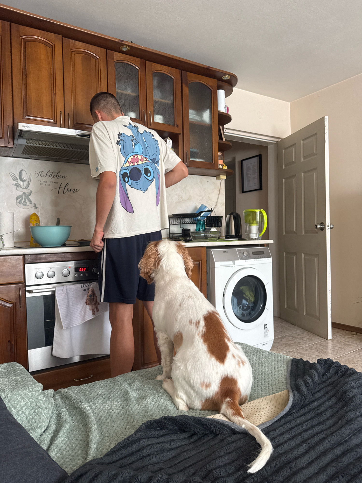 A man in a t-shirt with a cartoon character print and dark shorts is standing in a kitchen in Sofia, Bulgaria, looking down at a stovetop. A dog, a Cavalier King Charles Spaniel with brown and white markings, is sitting on a blanket in the foreground, looking towards the man. The kitchen has wooden cabinets, a microwave oven, a washing machine, and a door that is slightly ajar.