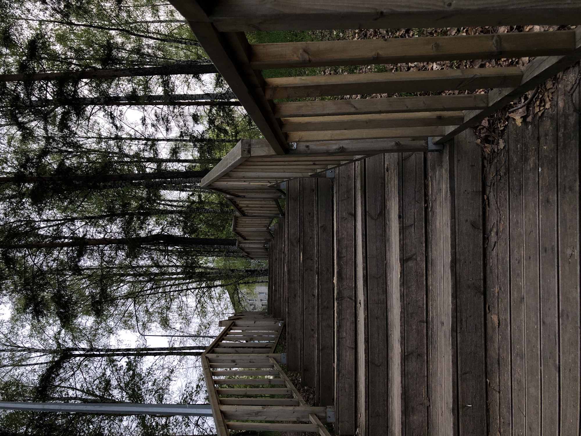 The image depicts a long, descending wooden staircase with railings along its sides, leading downwards through a wooded area. The stairs appear to be weathered and rustic. Trees line the edge of the staircase on one side, with a dense canopy overhead. The location is likely within a park or natural area in the city of Chaikovsky, Russia. There are no people visible in the image. The scene suggests a natural setting for walking or hiking.