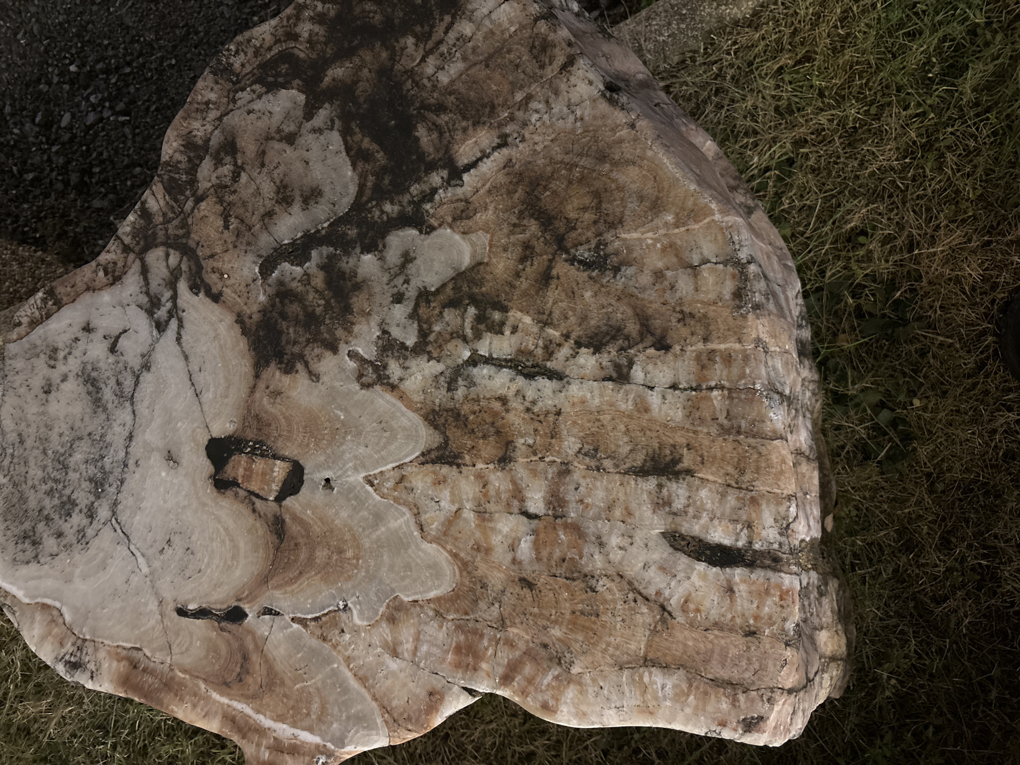 The image shows a large, light-colored rock with swirling patterns of brown, white, and black. The rock is resting on grass and some dark gravel. The texture of the rock is uneven and appears to be layered. There are some dark, irregular holes or inclusions within the rock. The lighting suggests it may be outdoors, possibly in a garden or park setting. The location is identified as Chalong, Thailand. There are no people or actions depicted in the image.