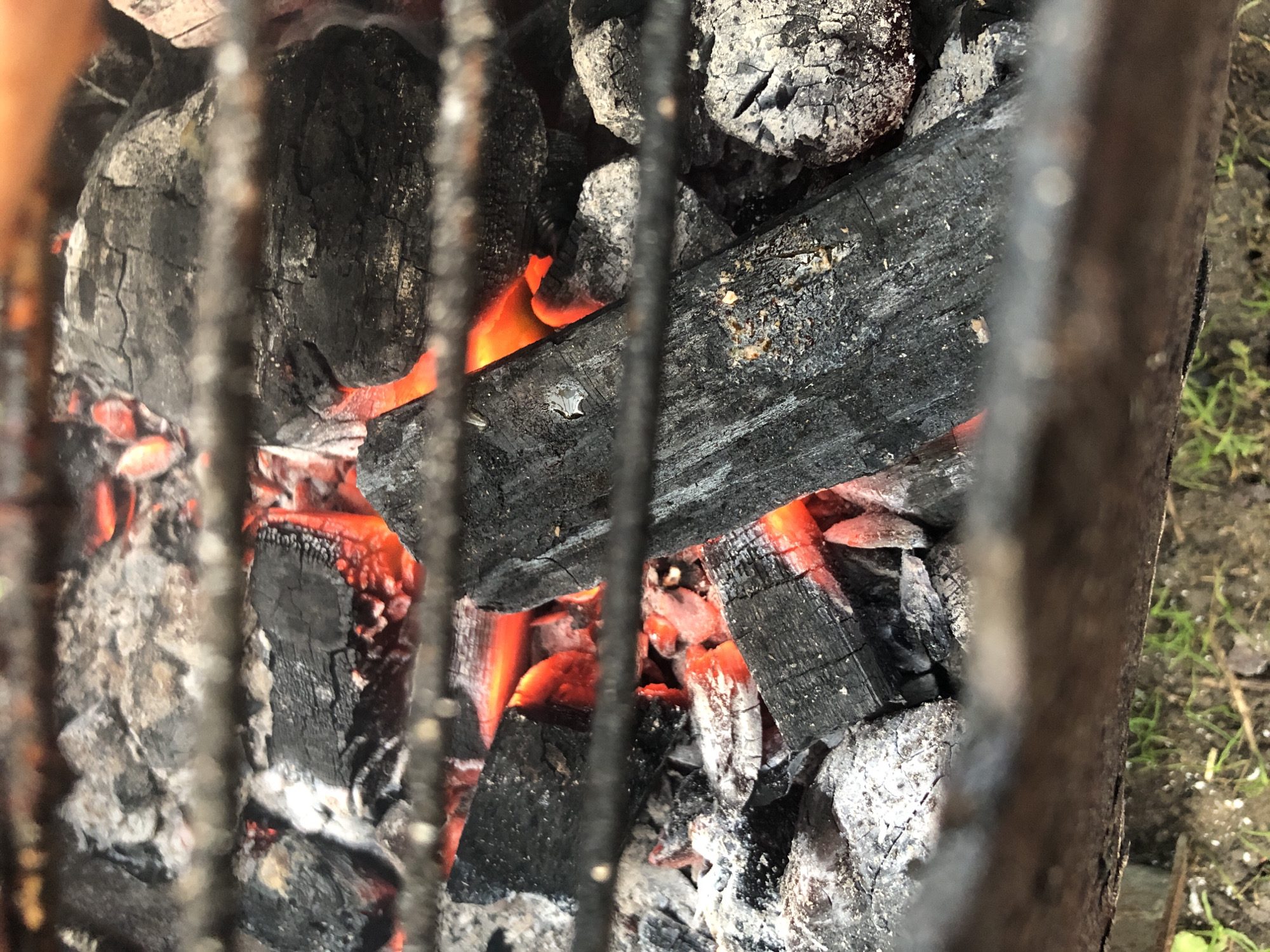 The image displays a close-up, downward view into a metal grill containing actively burning charcoal. Multiple irregular pieces of charcoal are present; some glow intensely with red and orange embers, signifying active combustion, while others are dark black, partially consumed, and covered in a layer of white-grey ash. A dark metal grate with horizontal bars is prominently in the foreground and background, slightly out of focus, creating a barred perspective into the heat source. No individuals are visible. The environment below the charcoal structure, visible at the bottom of the frame, consists of sparse green grass and soil, indicating an outdoor setting. The scene is located in Unknown, Unknown.