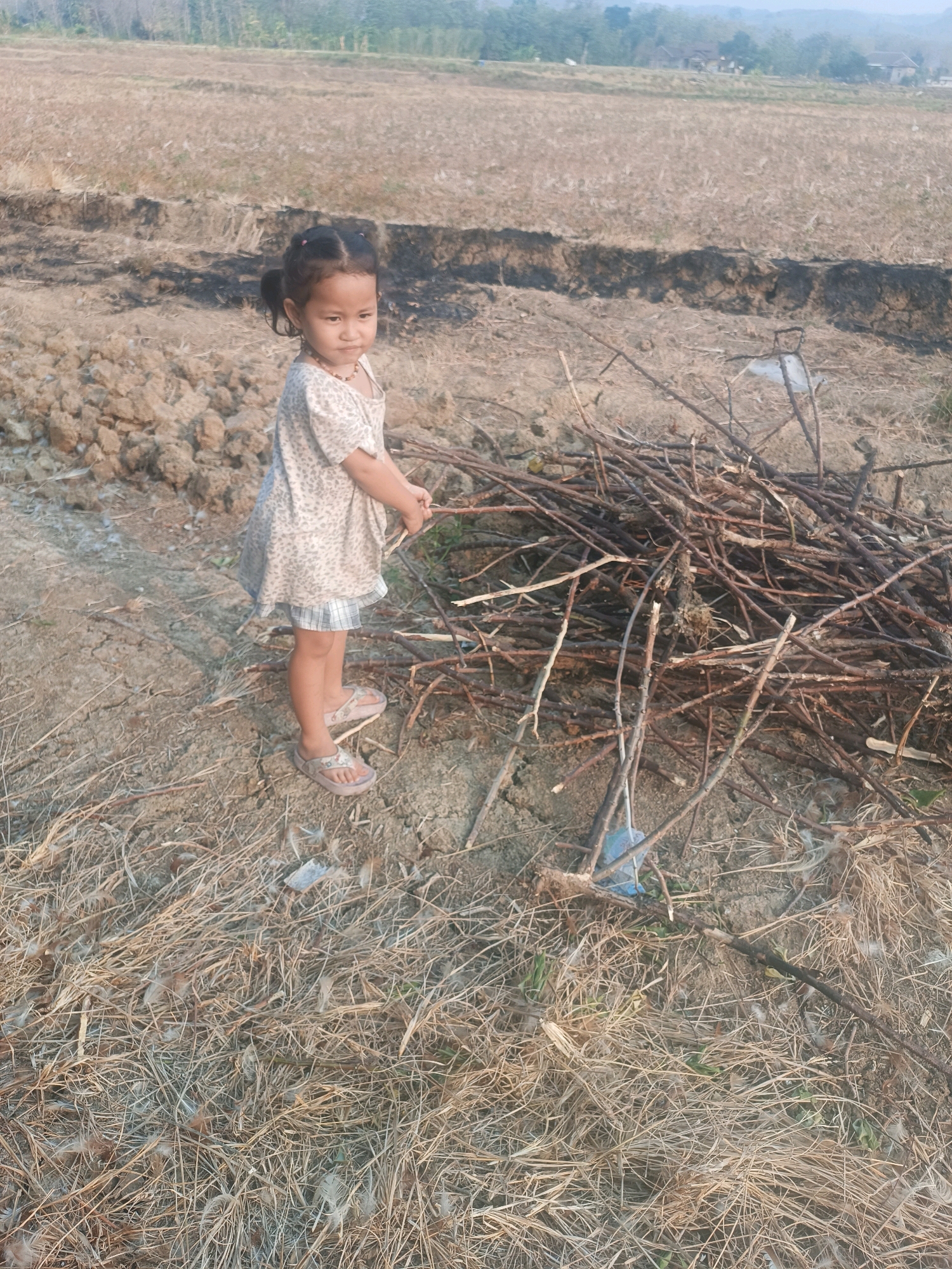 A young girl stands in a rural area, possibly near Tambakromo, Indonesia. She is facing left, with her body angled slightly towards a pile of dry branches. The girl is wearing a light-colored, patterned dress over a checkered skirt and flip-flops. Her hair is pulled back in two ponytails. Her left hand is extended towards the branches, and her right hand is holding some of the branches. The ground is covered in dry grass and dirt. In the background, there is a field with some vegetation and a distant treeline. There is a dark, linear disturbance in the field behind the girl, which could be a furrow or a burned area.