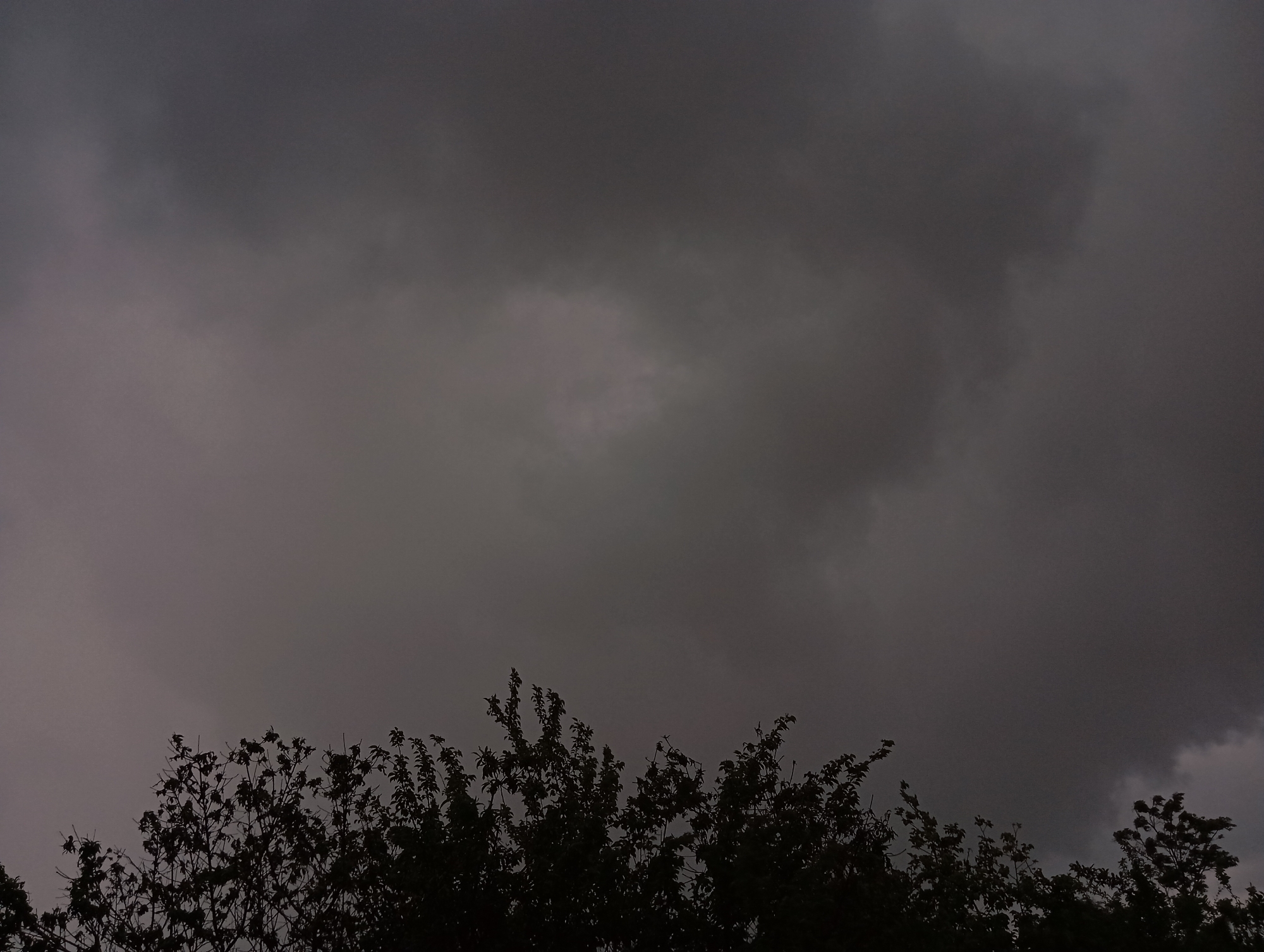The image presents a dark, overcast sky above silhouetted trees. The heavy cloud cover indicates a possible storm or recent rainfall. No identifiable people or specific objects are visible in the image. It's impossible to verify the location as Lassan, Pakistan, or gather forensic information from this image alone.