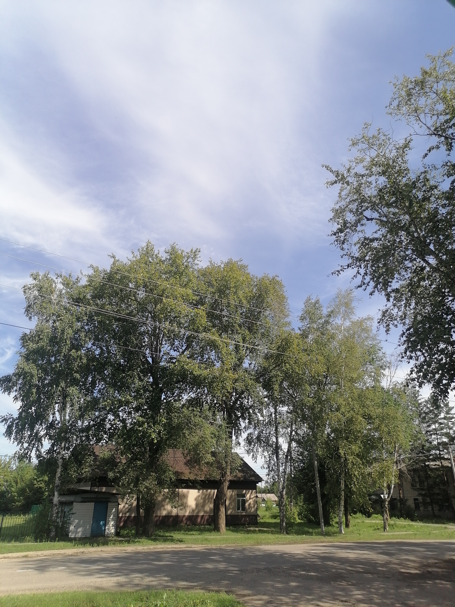 A medium-shot, eye-level outdoor photograph captures a scene in Novopokrovka, Russia. The sky dominates the upper half of the image, featuring a pale blue expanse with wispy white clouds. In the middle ground, a low-rise building with a brown-shingled roof and light-colored walls is visible. A small, white addition with a blue door is attached to the left side of the building. Several trees with abundant green foliage are scattered throughout the scene, with a particularly large tree in the left foreground. Power lines crisscross horizontally across the upper portion of the frame, above the trees. A paved road occupies the lower portion of the image, with a strip of green grass bordering its right side. In the background, additional trees and buildings can be faintly discerned. The overall impression is a quiet, rural or suburban setting on a clear day.
