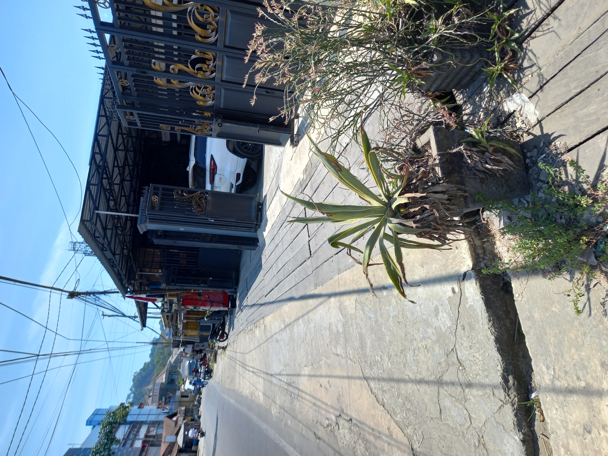 The image captures a street scene in Samarinda, Indonesia, on a bright, sunny day. A paved road runs along the left side of the frame, with a concrete sidewalk adjacent to it. The sidewalk has several cracks and a noticeable gap in places, indicating some disrepair.
On the right side of the sidewalk, a series of wooden planks form a walkway. Several potted plants are placed along this walkway. The most prominent is a large, spiky succulent in a dark gray concrete planter, showing signs of dryness. Next to it are two more planters with sparse, dry-looking vegetation.
Beyond the wooden walkway and plants, a dark metal gate with ornate golden scrollwork is visible, leading into a covered area. A white SUV is parked inside this covered area, partially visible through the gate. The structure above the gate and the parked car appears to be a car park or workshop. Overhead, a complex network of power lines crisscrosses the sky, casting shadows on the scene below.
In the background, several buildings of varying heights line the street, with some hills visible further in the distance. A few motorcycles and a small truck are present on the road, suggesting moderate street activity. The overall impression is of a commercial or residential area in an urban setting.