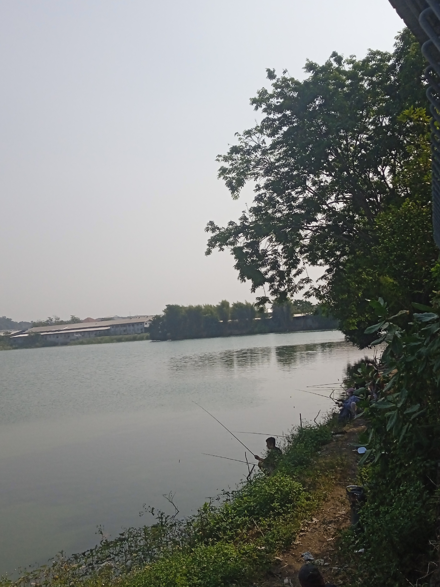 The image depicts a serene scene along the edge of a lake in Semarang, Indonesia. In the foreground, lush green vegetation lines the muddy bank, with several individuals engaged in fishing. One person is visible in the mid-ground, sitting and holding a fishing rod. Further along the bank, a group of three people are also fishing, with their rods extending into the water. The lake itself is calm, reflecting the hazy, overcast sky. Across the lake, a long, low-rise building complex with multiple roofs is visible, bordered by a line of trees and greenery. The overall atmosphere is one of quiet recreation in a natural setting within an urban or semi-urban environment.