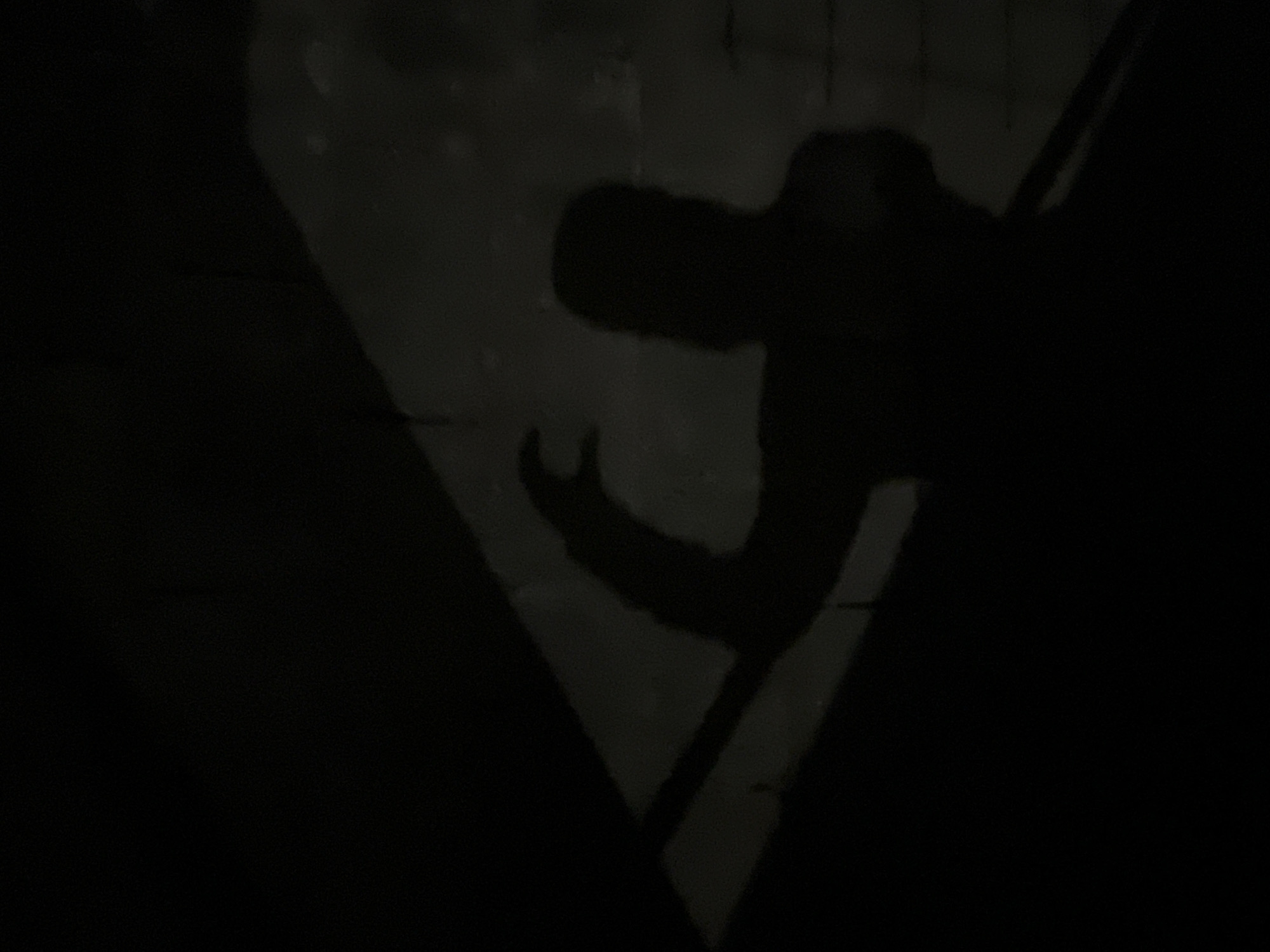 The image depicts a very dark, low-light scene, likely captured at night or in a deeply shadowed indoor or enclosed outdoor location in Budva, Montenegro. The primary subject is a large, distinct silhouette cast against a textured, possibly concrete or stone wall. This shadow strongly resembles a creature, possibly a monster or dinosaur, featuring a prominent, rounded head or snout and a bent, arm-like limb extending downwards. A smaller, hook-shaped shadow is also visible below the main form, appearing to be connected or in close proximity.
The setting is characterized by sharp, angular dark areas forming a V-like pattern in the lower sections of the frame, suggesting the presence of architectural features such as walls, beams, or structural corners. The wall surface exhibits subtle variations in texture and minimal light reflections, giving it a rough or aged appearance. There are no visible people or discernible activities taking place, and no text is present. The overall atmosphere conveyed is mysterious and somewhat eerie due to the deep shadows and the ambiguous, creature-like form.