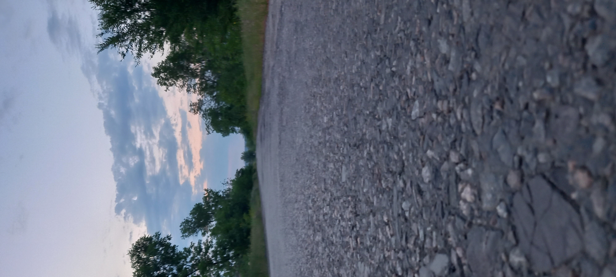 The image presents a low-angle perspective of an unpaved or heavily degraded asphalt road receding into the distance. The foreground is dominated by the road surface, which is composed of visible aggregate, cracked pavement, and small stones. The road is bordered on both sides by dense, green vegetation, consisting of overgrown grass, shrubs, and deciduous trees that form a thick line extending towards the horizon. The sky, visible above the tree line, transitions from a light, clear blue at the top to a more overcast, grey-blue hue mid-frame, with scattered clouds. A faint band of pinkish-orange light is present along the distant horizon, indicative of either sunrise or sunset. No human figures, animals, vehicles, or distinct man-made structures are present within the scene beyond the road itself. The environment appears natural or semi-natural, suggesting an area outside of a densely populated urban center. Based solely on the visual information provided, a specific location within the city of Kryvyi Rih, Ukraine, cannot be forensically identified; the scene is generic for a rural or peripheral road setting.