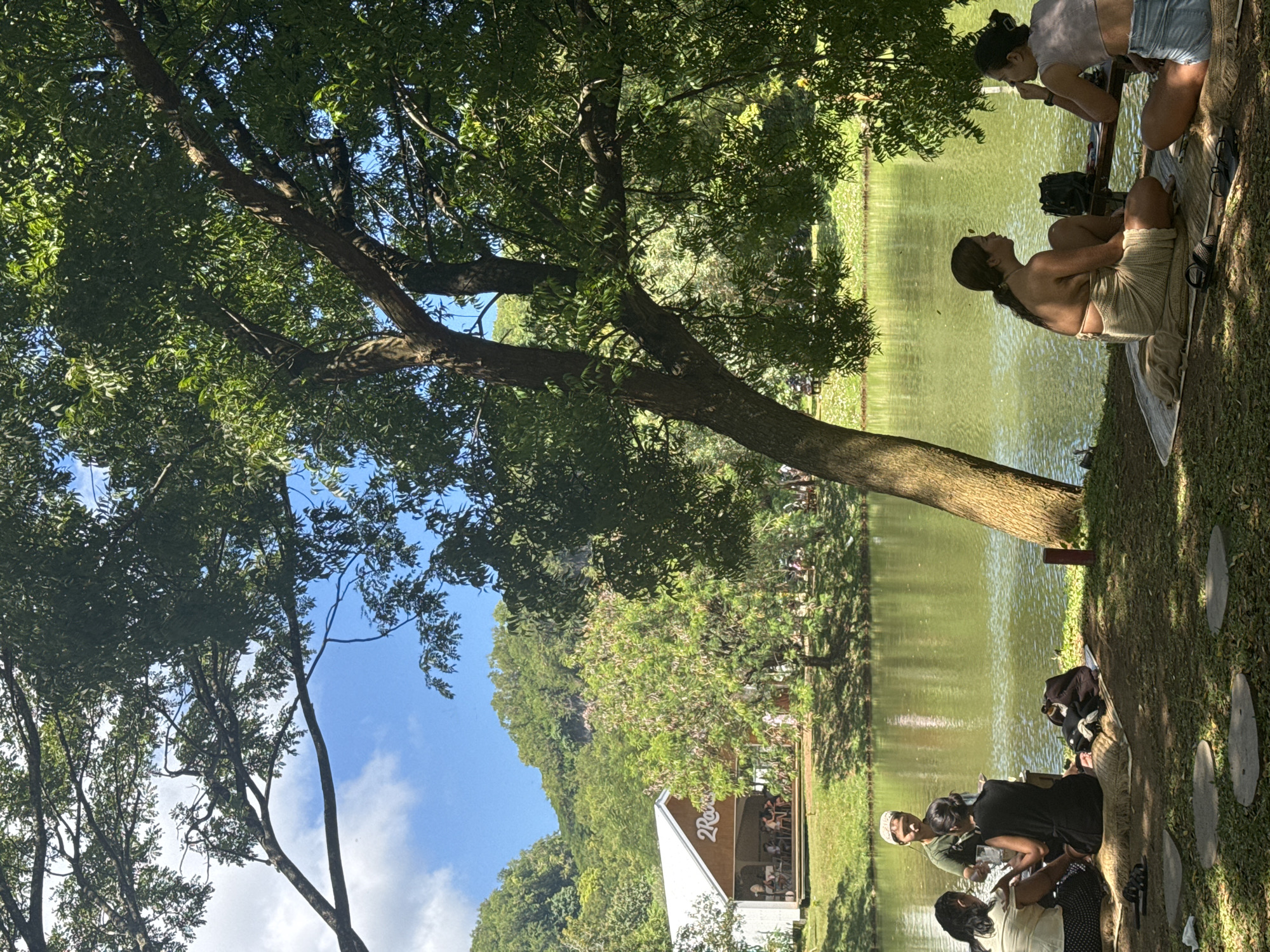 The image captures an outdoor scene with people relaxing by a body of water under the shade of large trees on a sunny day. The perspective is slightly rotated counter-clockwise.
In the foreground and mid-ground, a substantial tree with thick branches and abundant green foliage dominates the left and upper sections, casting dappled shadows. Beneath this tree, several groups of people are seated on the grass along the bank of a calm, green-tinted lake or pond.
Prominently featured on the right side, two women sit on a mat near the water. One woman, wearing a light-colored, possibly crocheted, top and light shorts, faces left, seemingly engaged in conversation with the second woman, who is partially obscured and leaning forward. Nearby, a dark bag or backpack rests on the grass. Further down and to the right, another group of people are seated, with one individual wearing a white cap. Stone stepping pads are visible on the grass next to them.
In the background, lush, tree-covered hills or mountains rise under a bright blue sky with scattered white clouds. Nestled against the hills, towards the bottom left, is a distinctive white building with a peaked roof and an open-air structure. The partial text "2Roo" is visible on the side of this building, suggesting it could be a cafe, restaurant, or event space.
The scene depicts a peaceful and leisurely gathering, with people enjoying the natural surroundings and each other's company. The bright sunlight and clear sky indicate pleasant weather, likely during the day.
