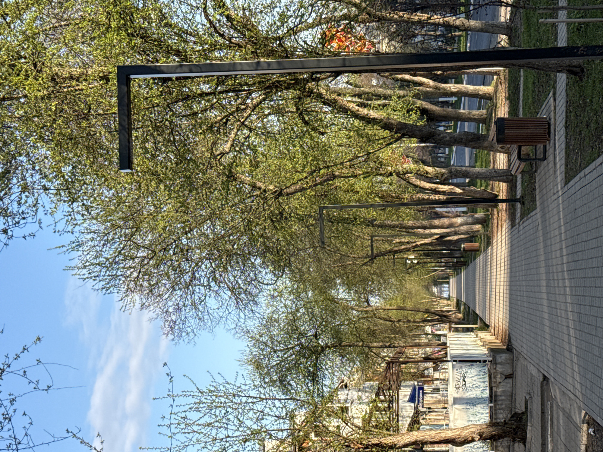 The image shows a tree-lined pedestrian walkway in Chaikovsky, Russia. The walkway is paved with light-colored rectangular stones. Rows of trees with budding green leaves line both sides of the path, their branches creating a canopy overhead. Modern, rectangular black lampposts are spaced along the walkway. On the right side of the walkway, a wooden bench with a metal trash can sits next to the path. Beyond the trees on the left side, there are buildings and temporary structures, some with graffiti. The sky is blue with scattered clouds. The photograph is taken at eye level, looking down the length of the walkway, creating a sense of perspective and depth.