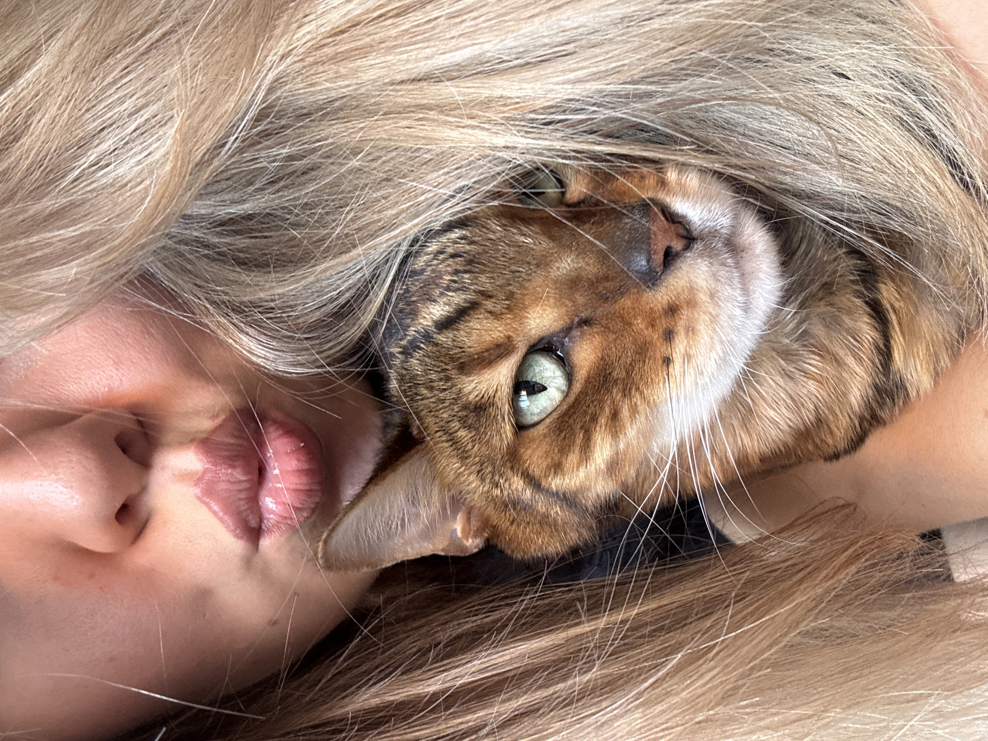 A close-up image shows a person lying down with a tabby cat resting on them, nestled amongst their blonde hair. The person's face is partially visible, showing their nose and lips, which are slightly pursed. The cat's head is prominently featured, with one of its green eyes clearly visible. The cat's fur is brown and black, with a white patch on its face. The focus is sharp on both the human's face and the cat, creating a sense of intimacy. The background is blurred.