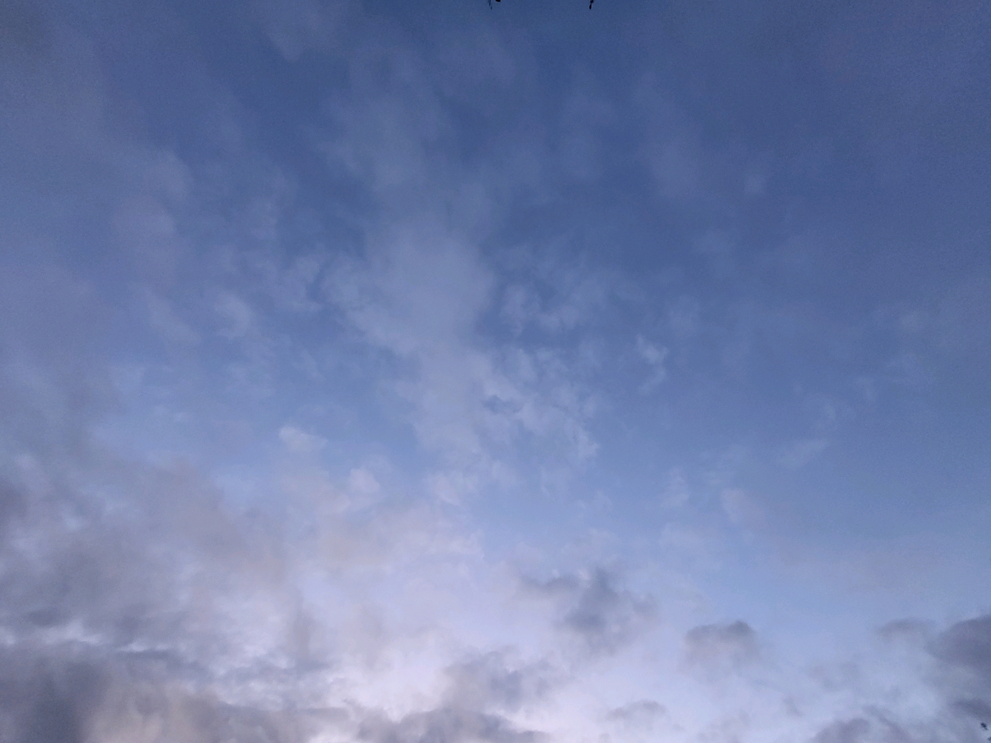 The image displays a low-angle view of a sky filled with scattered clouds against a backdrop of pale blue. The clouds exhibit a variety of textures and opacities, ranging from wispy, translucent formations to denser, more opaque masses. Some clouds have a grayish tint, suggesting they may be catching the light from below or are thicker. The overall lighting is soft and diffused, indicating either early morning or late evening. There are no visible structures, landmarks, or natural features of the city of Jelgava, Latvia, within the frame of the image, as the composition is entirely focused on the sky.