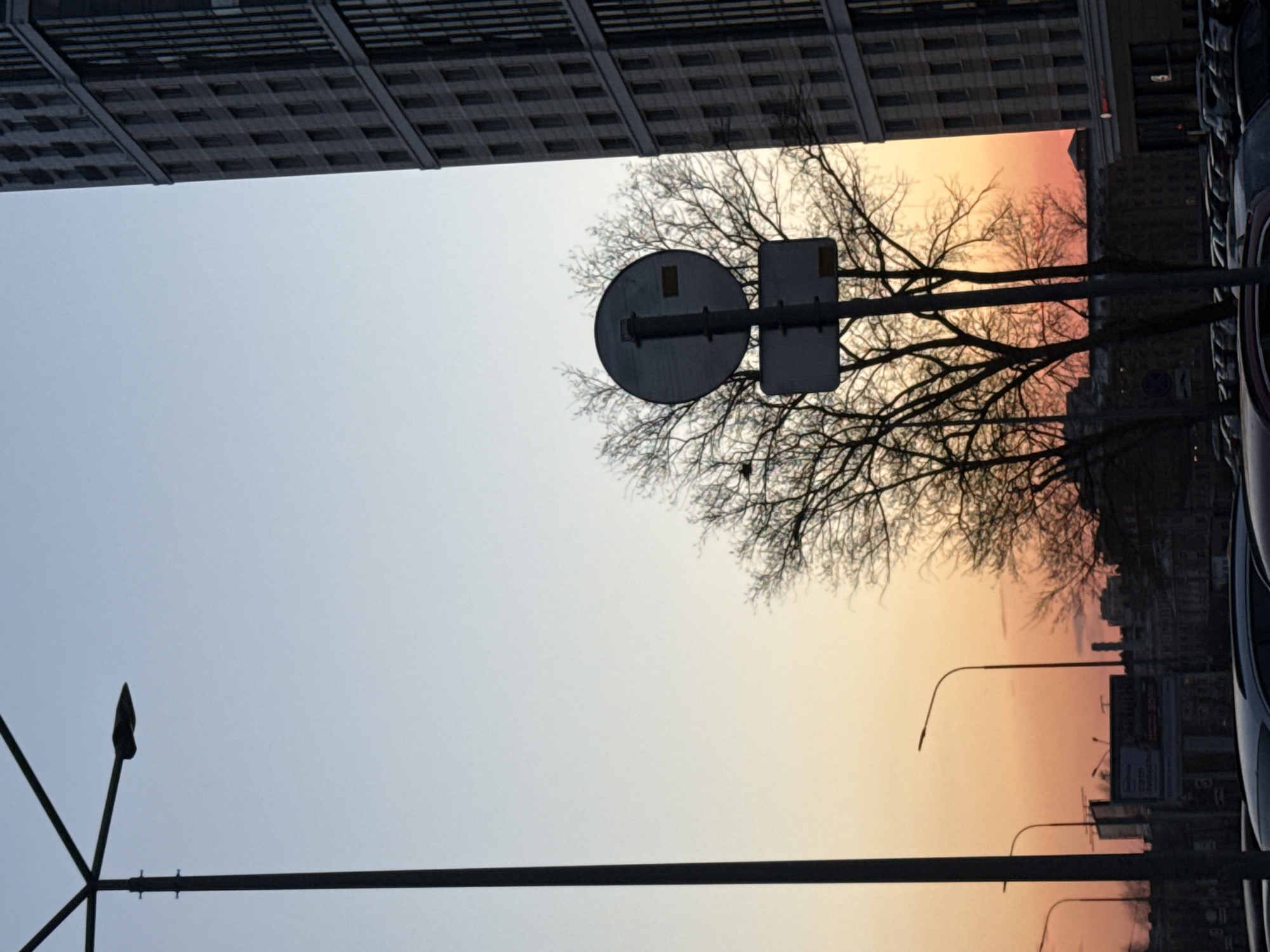 This is an outdoor shot, oriented vertically, of a streetscape in Saint Petersburg, Russia, likely taken at dusk or dawn. A tall, rectilinear building dominates the upper portion of the frame. Lower down, silhouetted tree branches fill the center-right of the frame. A road sign, consisting of a round and a rectangular plate, is centered within the branches. The background sky is a gradient of colors, transitioning from a light blue-gray at the top to a peach and orange hue near the horizon. The streetlights are a dark, slender pole with an ornate, spiked finial, crossing the lower-left corner. A line of parked cars extends along the right edge of the image. The city skyline, barely discernible against the horizon, adds depth to the scene.
