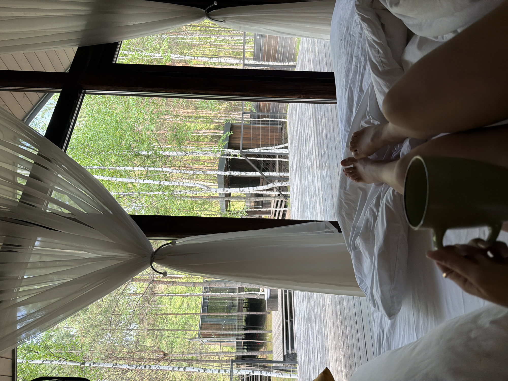 A first-person perspective shot shows a person lying in bed, holding a green mug. The bed is covered in white linens and a duvet. The person's bare feet are visible at the bottom of the frame. Behind the bed, a large window looks out onto a wooded area with birch trees. Two modern, wooden cabins are visible in the distance. White sheer curtains hang on either side of the window. The overall scene suggests a serene morning in a tranquil, natural setting, possibly a resort or a private retreat. The location is identified as Berezovka, Russia.
