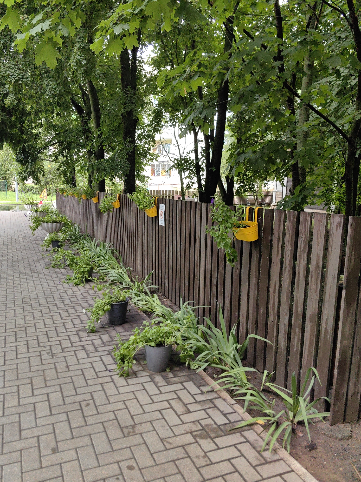 The image depicts a paved walkway adjacent to a dark brown wooden fence adorned with several hanging yellow planters containing green plants. The fence runs along the right side of the frame, with a row of potted plants and in-ground greenery bordering the walkway on the left. In the background, tall trees with lush green foliage are visible, and beyond them, a building with light-colored walls and windows can be seen. The walkway is paved with grey rectangular bricks laid in a herringbone pattern. The overall scene suggests an outdoor setting, possibly a park, residential area, or a public space within the city of Minsk, Belarus. No people are present in the image, and no discernible actions or interactions are taking place. The lighting suggests it is daytime, possibly overcast.