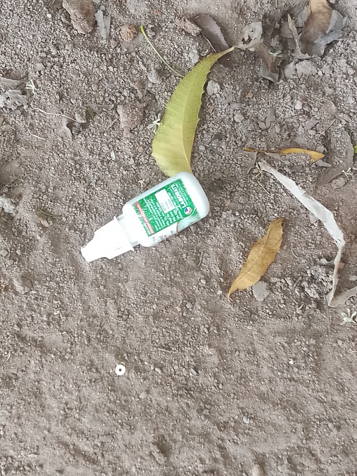 A small white plastic bottle with a green label lies on a patch of dry, dusty ground in Jalingo, Nigeria. The bottle appears to be an eye drop container, as evidenced by its narrow applicator tip. Text on the label, though partially obscured, includes the word "HYDRATE" and some smaller, illegible print. Scattered around the bottle are fallen leaves, some green and fresh, others dry and brown, suggesting an outdoor setting. The ground is composed of small pebbles and dirt, indicating a natural or unpaved area. There is a small, white, circular object on the ground to the left of the bottle. The lighting suggests it is daytime, and the dry environment points to warm, possibly arid, weather. No people are visible in the image.
