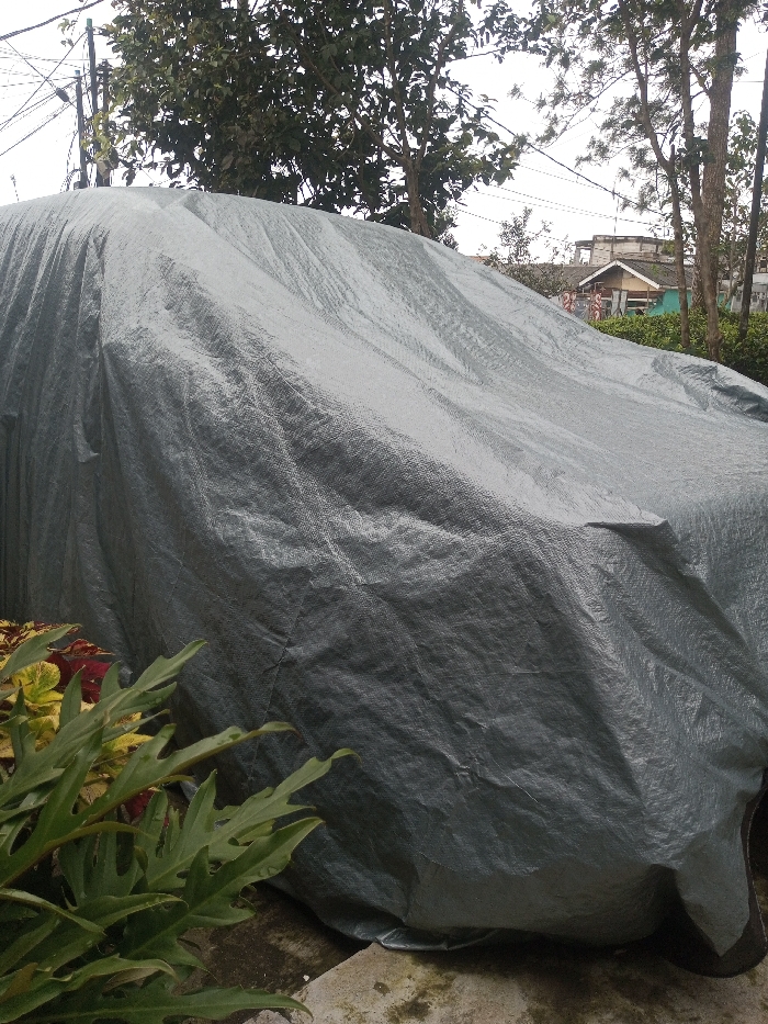 A large gray tarp covers an object, likely a car, with folds and wrinkles in the material. Green and reddish plants are visible near the base of the tarp. In the background, there are trees, power lines, and a glimpse of buildings. The scene is outdoors with overcast lighting.