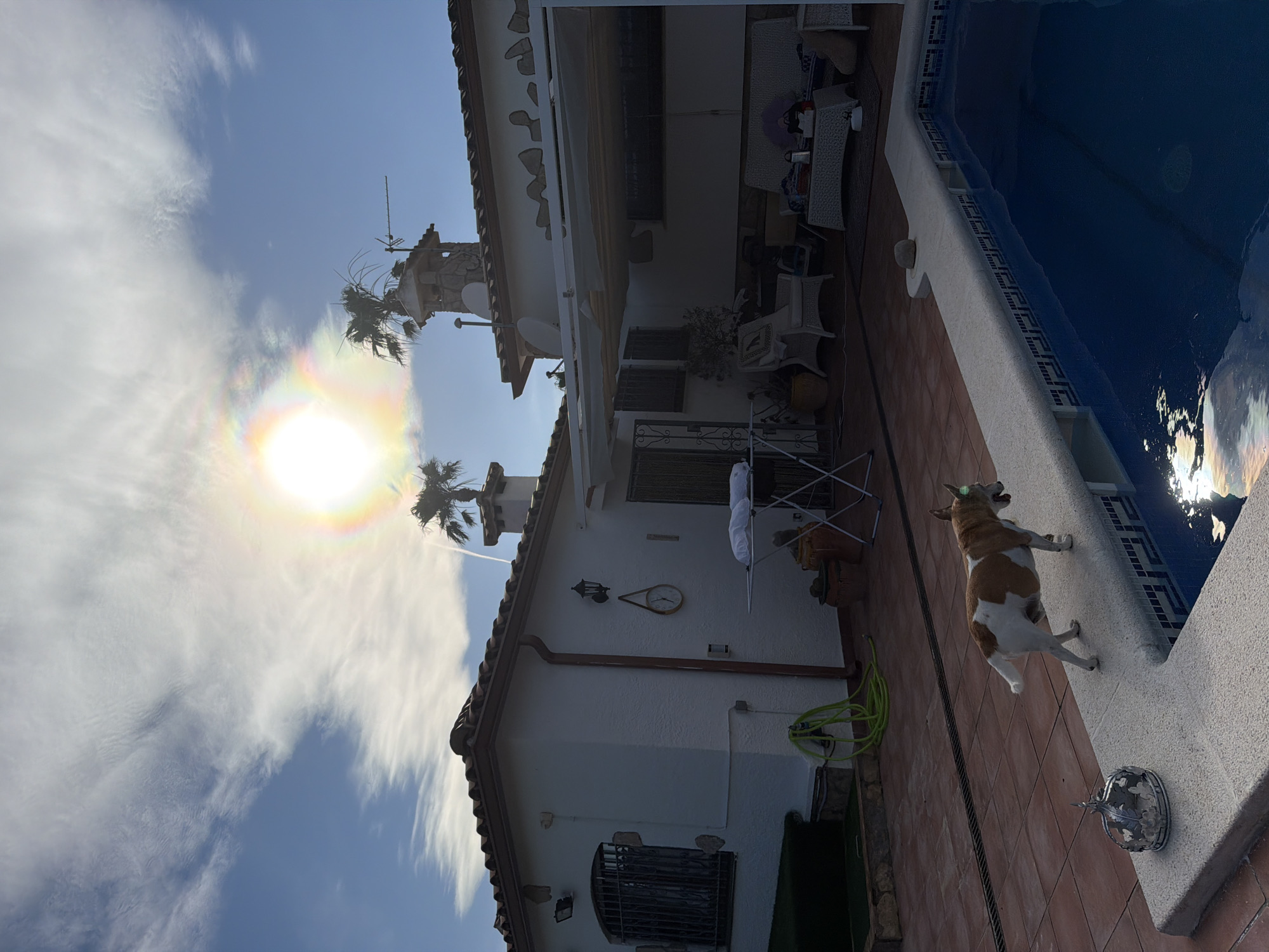 This outdoor image, taken in Mont-roig del Camp, Spain, captures a sunny residential scene featuring a white house, a swimming pool, and a dog.
The main subject is a white, two-story building with a terracotta-tiled roof, characteristic of Mediterranean architecture. The walls are stucco, and some windows are fitted with wrought iron security grilles. On the side of the house, a round, light-colored outdoor clock is mounted, along with a wall lantern. A green garden hose is coiled on the tiled patio, and a clothes drying rack with white laundry is visible. The upper floor features an open terrace area, partially covered by an awning, furnished with outdoor seating. Satellite dishes and antennas are installed on the roof.
Adjacent to the house is a swimming pool with blue mosaic tiles and a light-colored concrete coping. The water appears clear, reflecting the bright sunlight. The patio area around the pool and house is paved with terracotta-colored tiles.
In the foreground, a brown and white dog stands on its hind legs at the edge of the swimming pool, looking into the water or possibly towards something beyond. Its mouth is slightly open, suggesting it might be barking or panting. Next to the dog, a decorative metallic bowl-like object sits on the pool coping.
The sky is bright blue with wispy white clouds. The sun is prominently visible, creating a strong lens flare and a subtle halo effect with iridescent colors in the clouds around it, indicating a clear, sunny day. Palm trees are visible near the house, further suggesting a warm climate.
No discernible text is visible in the image. The scene conveys a relaxed, summery atmosphere typical of a holiday home or a pleasant day outdoors.
