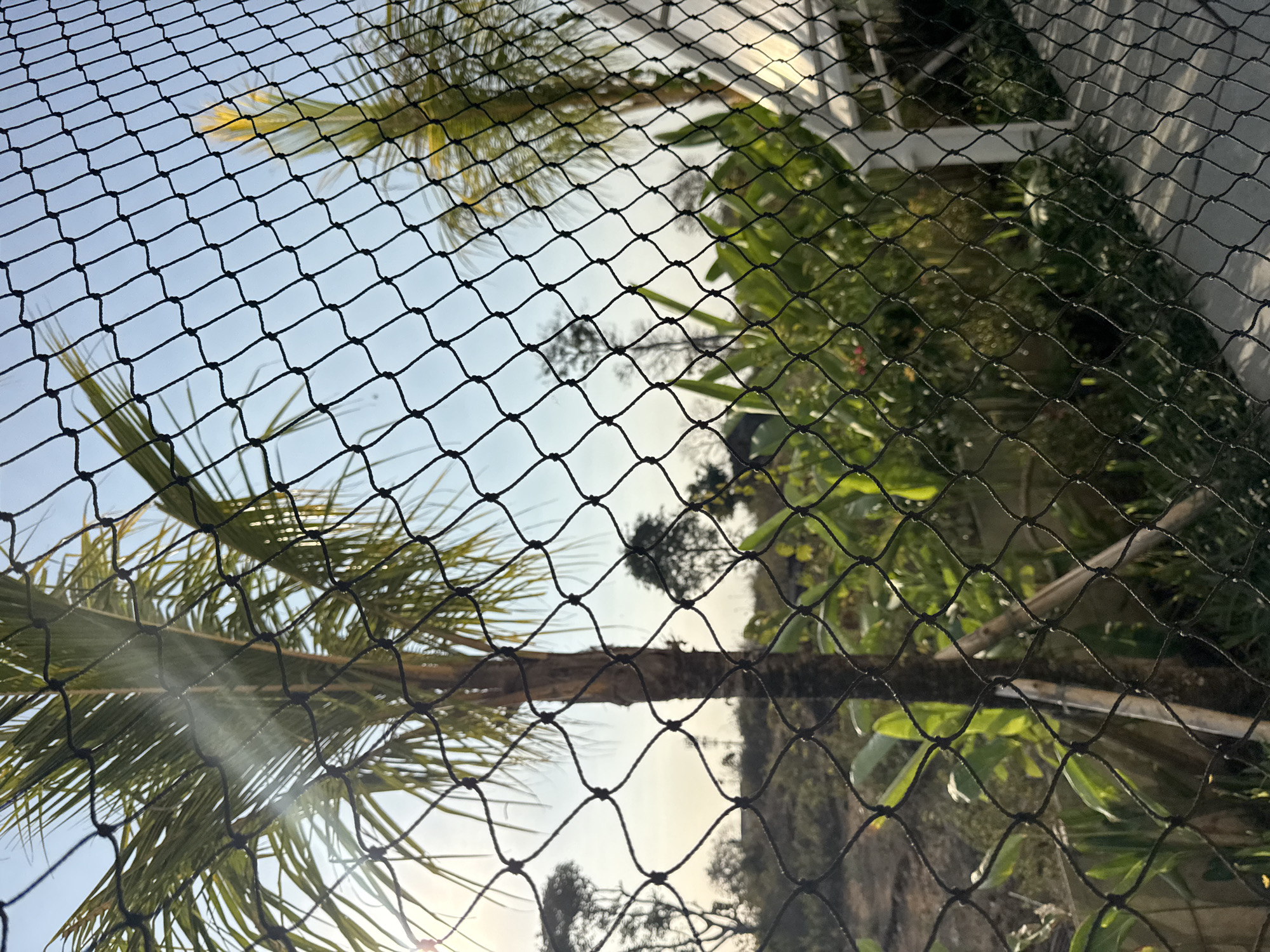 A black net stretches across the foreground of the image, obscuring a tropical scene. Through the net, a palm tree with fronds illuminated by the sun is visible, along with other lush green foliage and more trees in the background. The sky is clear and pale blue. The scene appears to be an outdoor area, possibly a garden or park, with a walkway visible to the right, partially covered in shadows. The overall impression is of a bright, sunny day in a tropical environment. The location is Kuta Selatan, Indonesia.