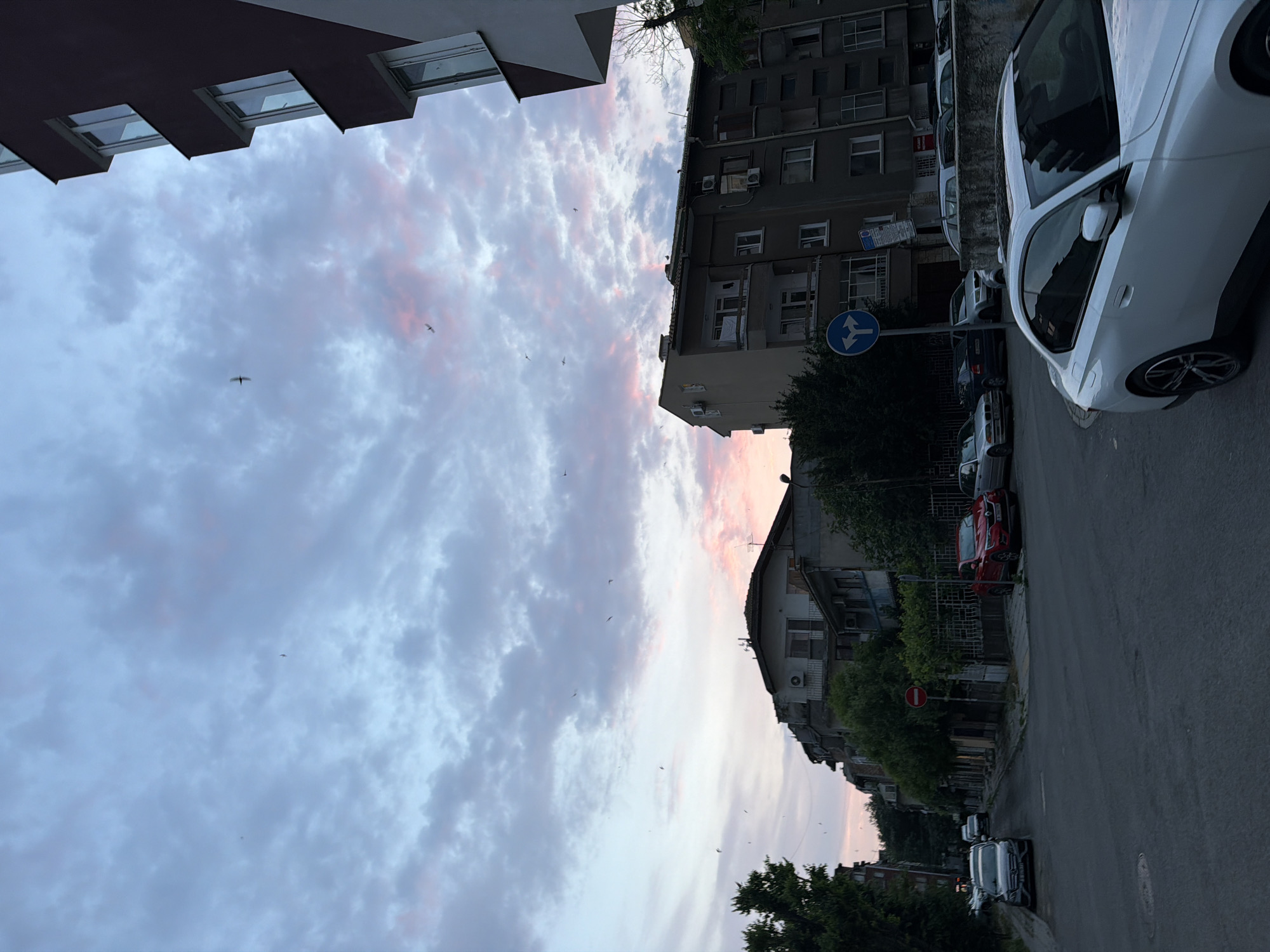The image depicts an urban street scene during either dawn or dusk, characterized by a striking, cloudy sky. The sky dominates the upper and central portions, filled with a blend of blue-grey clouds streaked with vibrant pink and soft orange hues, particularly towards the horizon lines. Numerous small birds are visible, soaring through the cloudy expanse.
On the left side of the frame, a modern building with a dark facade and regularly spaced square windows is partially visible. Along the right side, a paved street unfolds, bordered by older, multi-story residential buildings. These buildings feature various windows, balconies, and some external air conditioning units, suggesting a lived-in, somewhat weathered appearance typical of an urban setting.
Several cars are parked along the street. A white car is prominent in the foreground on the right, while other vehicles, including a red car, are visible further down. Green trees and shrubs are interspersed along the streetscape, adding natural elements to the urban environment.
Two distinct street signs are visible: a blue circular sign with white directional arrows, typically indicating mandatory turn directions, and a red circular sign with a horizontal white bar, signifying "No Entry." The soft, colorful light of the sky indicates the early morning or late evening hours. The scene is quiet, devoid of visible human activity, conveying a peaceful and still atmosphere in Burgas, Bulgaria. No discernible text is visible on any objects within the frame.