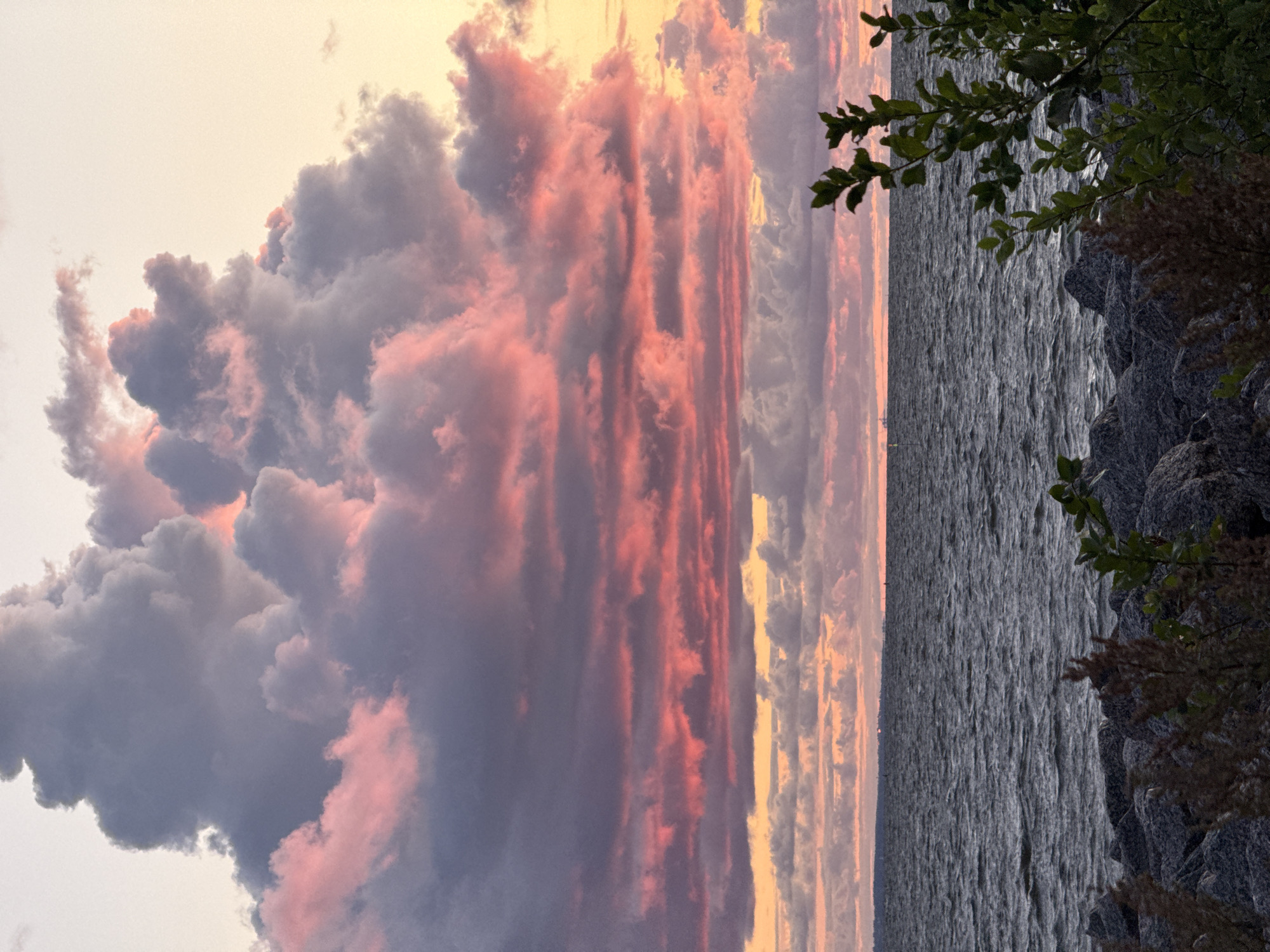 The image depicts a sunset over a body of water, likely a bay or gulf, with a rocky shore in the foreground. The sky is dominated by dramatic, billowing clouds tinged with pink and orange hues from the setting sun. The water is dark and choppy, reflecting the colors of the sky. On the horizon, a faint line of land can be seen, possibly a distant city skyline or a natural coastline. Some distant boats or buoys are visible on the water. Green foliage and dry plants are present in the foreground, framing the view of the water and sky. The overall impression is one of a serene and colorful natural landscape at dusk. This scene could be located along the shore of the Gulf of Finland in Saint Petersburg, Russia, known for its beautiful sunsets over the water.