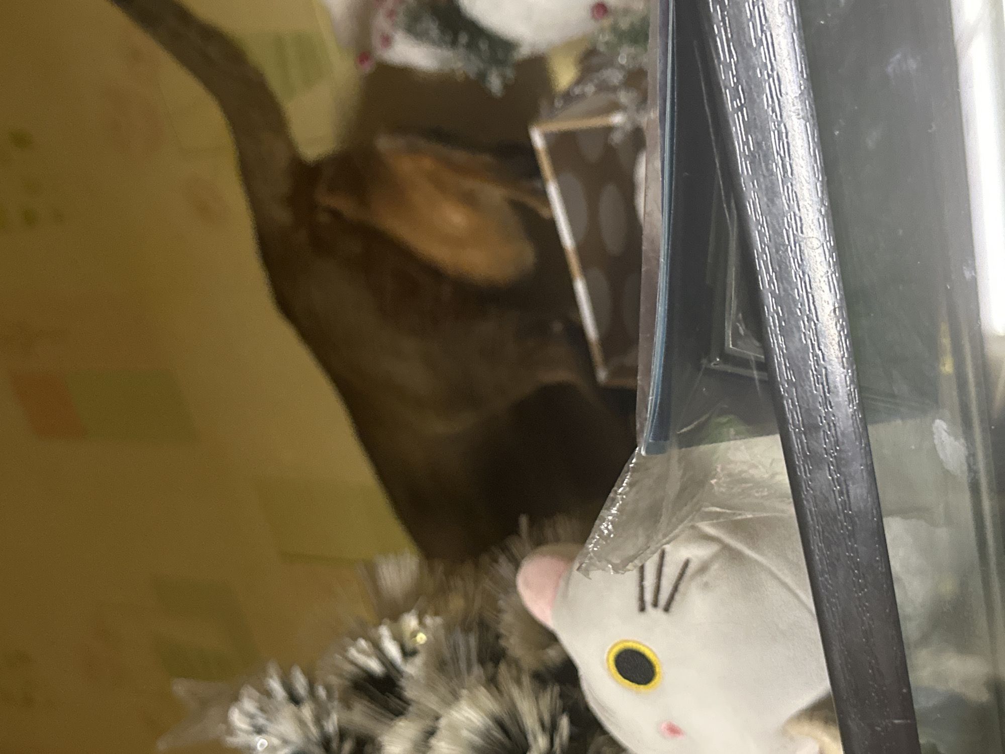 A blurry, indoor photograph shows a portion of a brown dog with its hindquarters and tail in the upper left corner. A white plush toy with yellow eyes and black whiskers is in the lower right corner. The items are positioned near a black frame. The background is an indistinct tan color with a hint of a green and brown pattern, potentially a floor. The photograph's blurriness and incomplete composition do not suggest a specific location.
