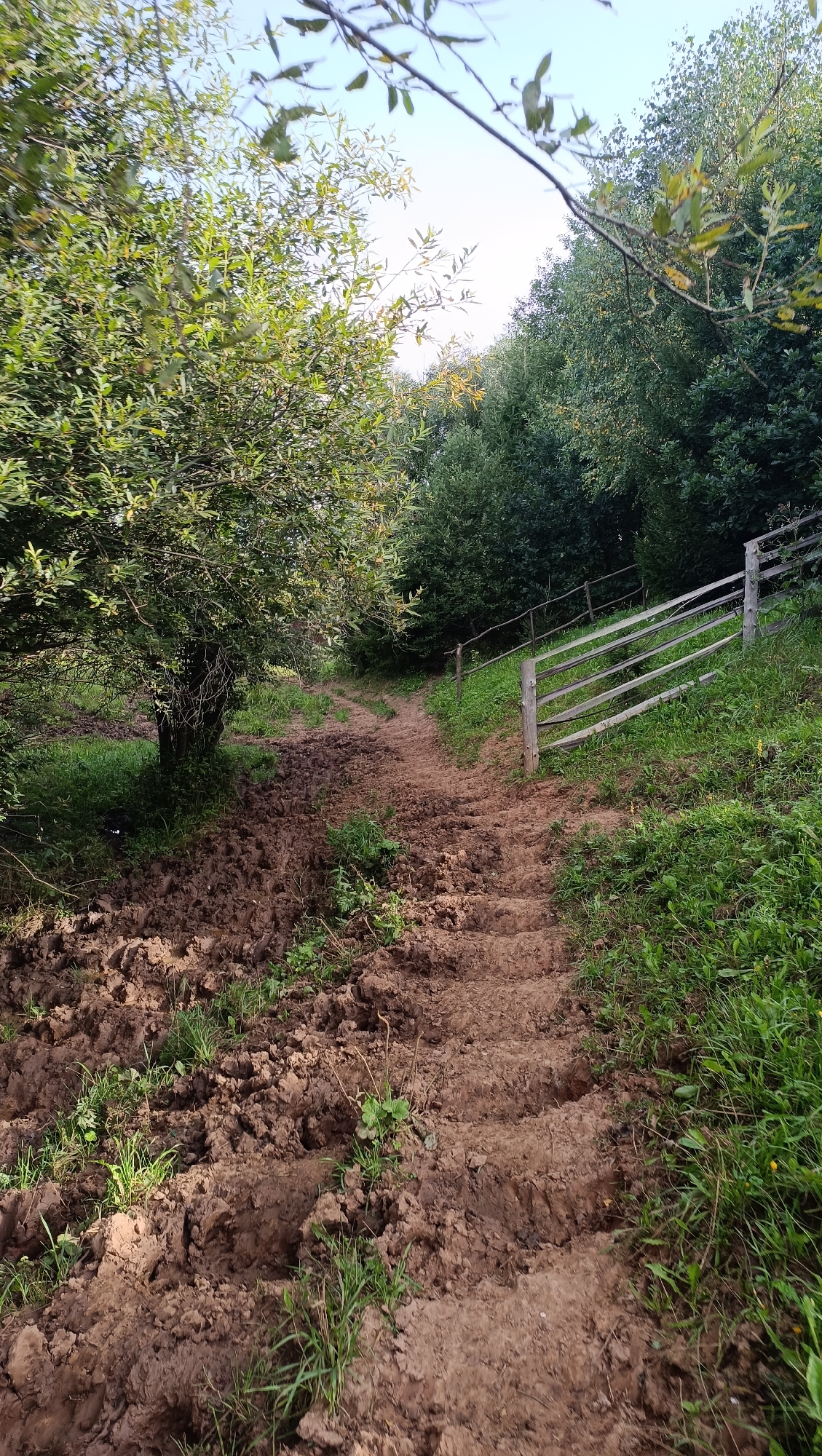 The image depicts a muddy path winding through a wooded area. The path is uneven and appears to be made of churned earth, with visible tire tracks. To the right of the path, a wooden fence runs along the edge of a grassy slope. Lush green trees and foliage line both sides of the path, creating a natural, somewhat overgrown environment. The sky is visible in the upper portion of the image, appearing bright and possibly overcast. There are no people or animals present in the scene. The scene is a rural or semi-rural setting, suggesting a path or trail through a forest or field. The mention of Karsha, Russia is not supported by visual evidence in the image.