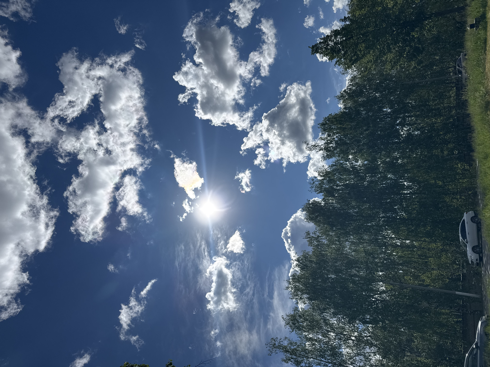 The image shows a daytime scene with a deep blue sky scattered with cumulus clouds and high cirrus streaks. The sun is visible and emitting a glare. A dense cluster of green trees fills the right side of the frame, with a hint of grass and a white car visible along the edge. The location is plausibly Chaikovsky, Russia due to the type of vegetation and the overall atmosphere.