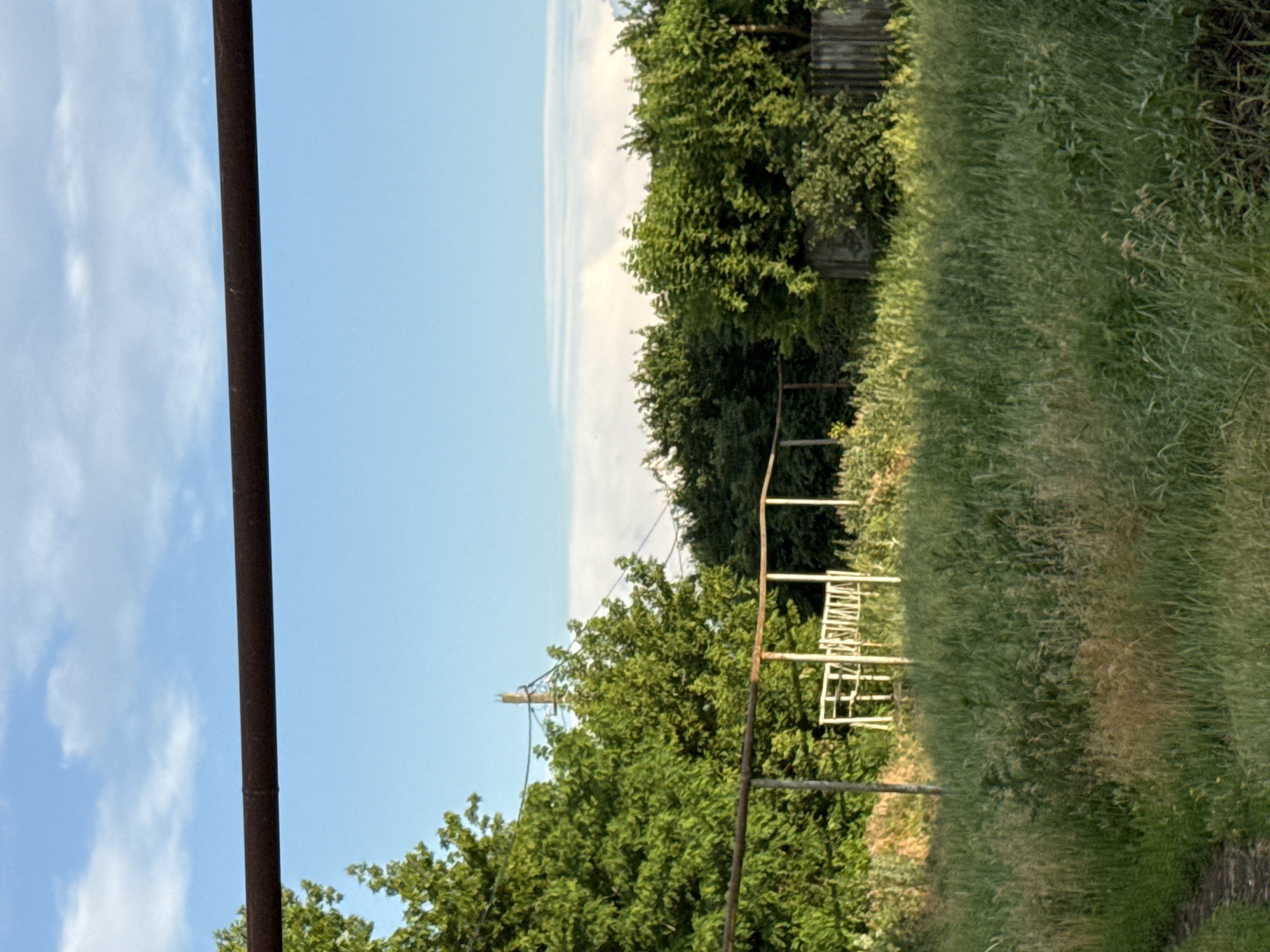 The image depicts an outdoor scene in a grassy area, possibly a yard or field, with a clear blue sky and scattered clouds. A thick, rusty metal pipe runs horizontally across the upper portion of the frame. In the middle ground, a structure made of white metal, possibly a swing set or a frame, is visible amidst overgrown green vegetation. Trees with lush green foliage are abundant, lining the background and to the left of the frame. A weathered wooden fence is also present on the right side. A dirt path can be seen in the lower left corner. The image appears to be taken in Rossosh, Russia, during daylight hours, suggesting a temperate climate. There are no people or animals visible in the scene. The overall impression is one of a rural or semi-rural setting with elements of both nature and man-made structures.