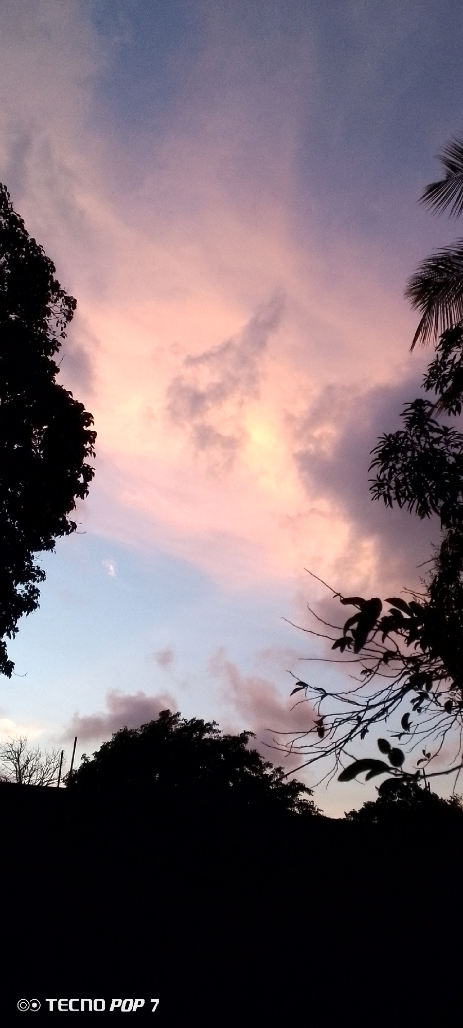 The image is a low-angle shot of the sky at dusk or dawn in Altagracia, Venezuela. The sky is a mix of pale blue and pink clouds, with darker grey clouds interspersed. Silhouetted trees and vegetation frame the image on the left, right, and bottom, obscuring the view. The bottom of the image is completely black, indicating a dark foreground. A portion of a palm tree is on the right. The text "TECNO POP 7" appears in the bottom left corner.