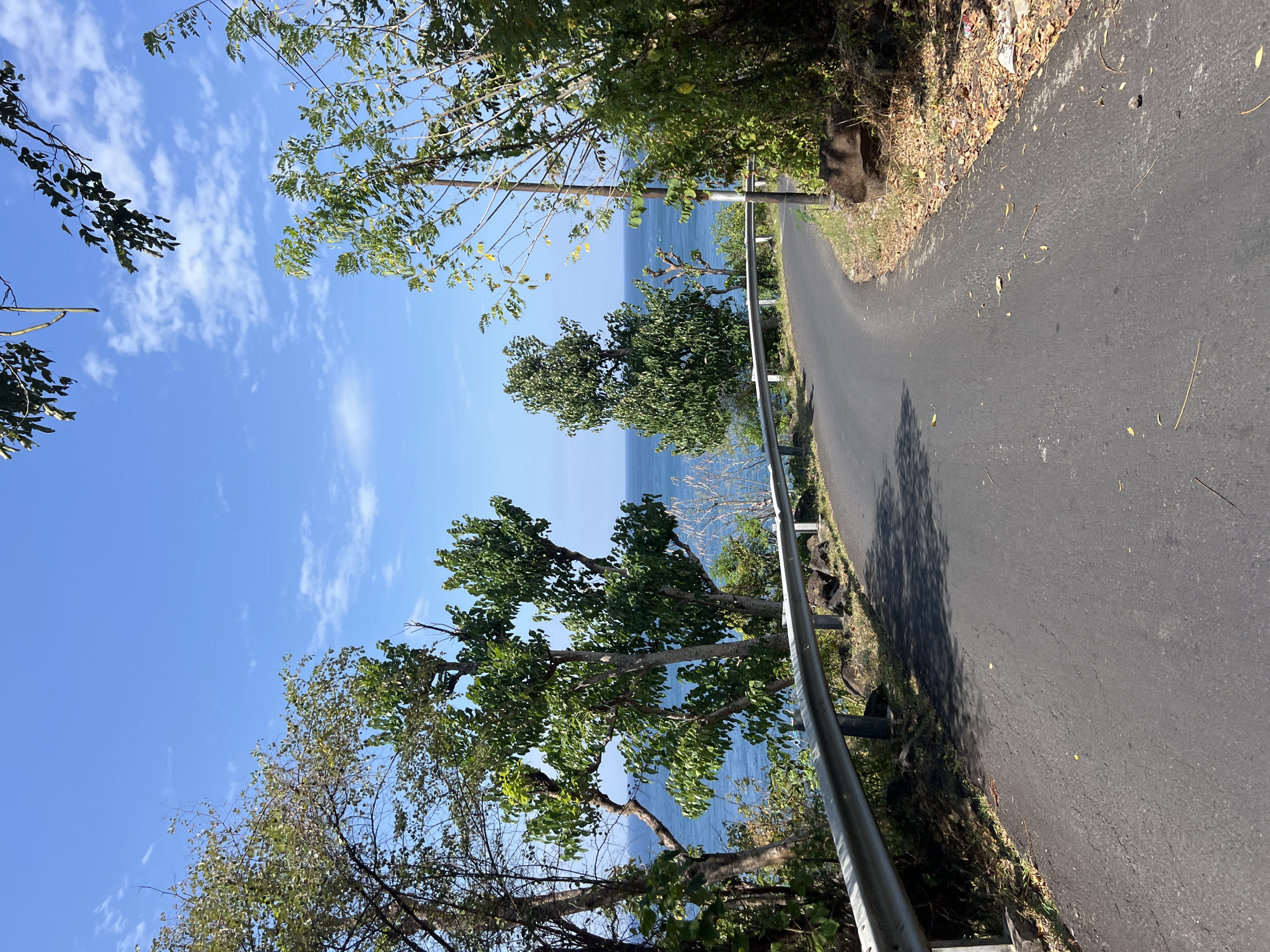 The image depicts a paved road that curves to the left, bordered by a metal guardrail on the left and lush vegetation on the right. The road appears to be situated in a coastal area, as the blue ocean is visible beyond the guardrail and trees. The sky is a clear blue with scattered white clouds. The vegetation consists of various trees and bushes, some with green leaves and others with drier, fallen leaves scattered on the ground. A single utility pole stands on the right side of the road. The scene is devoid of any people or vehicles. The overall impression is one of a scenic, natural environment, likely a road in a tropical or subtropical region. Given the specific location provided, this scene is likely of a road near the coast in Abang, Indonesia, a region known for its natural beauty and proximity to the sea.