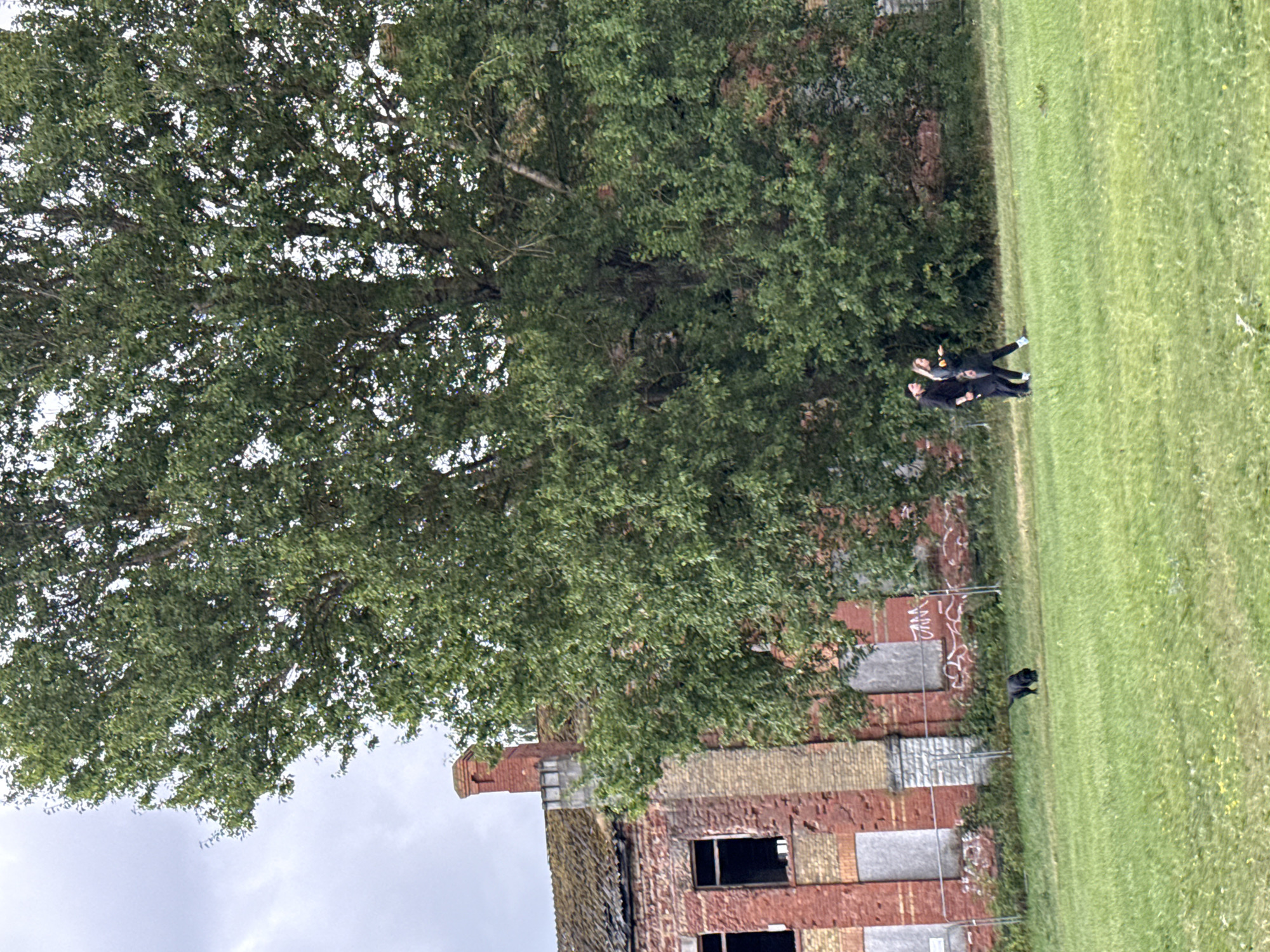 A medium shot captures an overcast day in an outdoor setting. In the foreground, a lush green lawn stretches across the frame. To the left, a black dog is bent down, seemingly sniffing the grass. Further to the right, a couple walks side-by-side on the lawn, the man on the left wearing a black jacket and pants, and the woman on the right wearing a dark jacket and light-colored pants, carrying a yellow object in her hand.
Behind the lawn, a large, mature tree with dense green foliage dominates the mid-ground, its branches reaching towards the sky. Partially obscured by the tree and stretching across the background is an old, dilapidated brick building. The building exhibits signs of disrepair, with broken windows boarded up and a damaged roof. Graffiti is visible on the building's exterior and on a chain-link fence in front of it. The architectural style and the presence of graffiti suggest an urban or semi-urban environment, potentially an abandoned industrial or institutional structure. The overall scene conveys a sense of decay juxtaposed with the vibrant life of nature and human activity. The location is the former barracks complex of the Russian Imperial Army in Tallinn, Estonia.