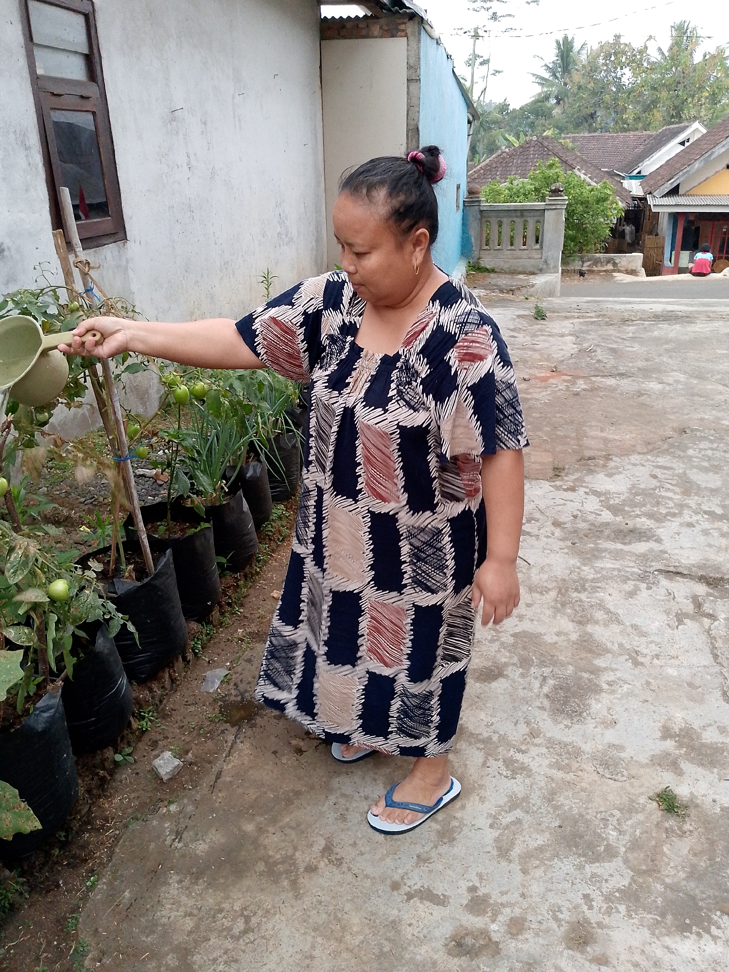 In the city of Babadan, Indonesia, a woman is captured in a full-body shot, standing on a paved outdoor surface next to a row of plants. She is wearing a dark blue, beige, and rust-colored patterned dress and blue and white flip-flops. Her hair is pulled back in a pink scrunchie. In her right hand, she holds a light green watering ladle, from which water is being poured onto the plants. The plants are growing in black plastic bags, and some appear to have green tomatoes on them. Behind the woman, a building with a textured white wall and a wooden-framed window is visible. Further in the background, other houses with tiled roofs and palm trees can be seen, suggesting a residential area.